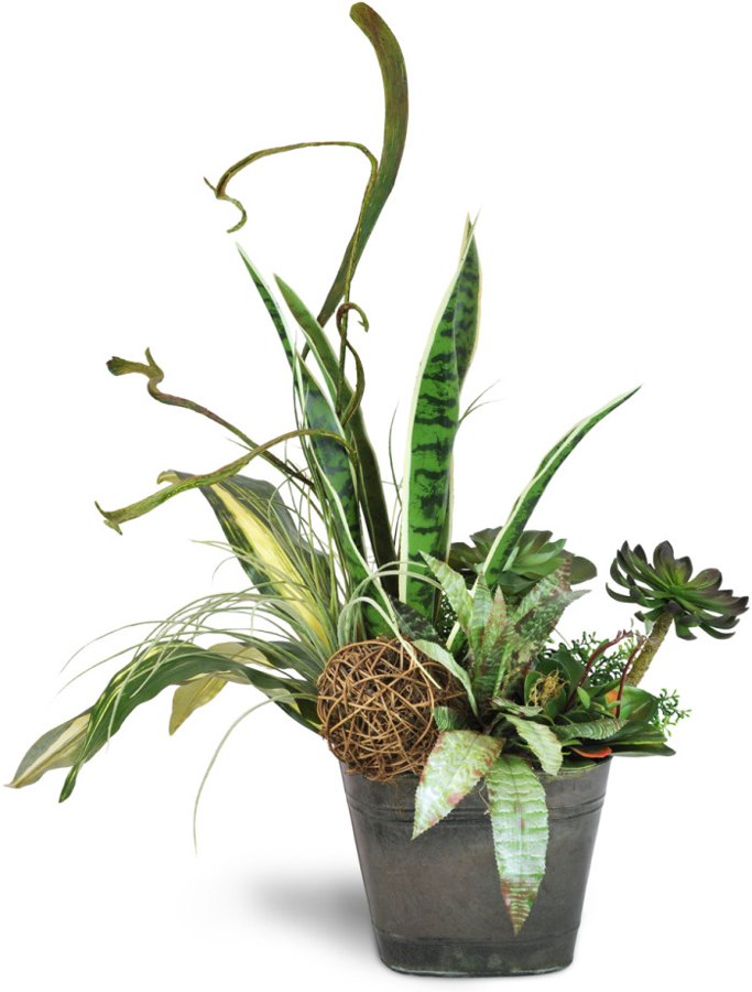 Modern Planter Garden
