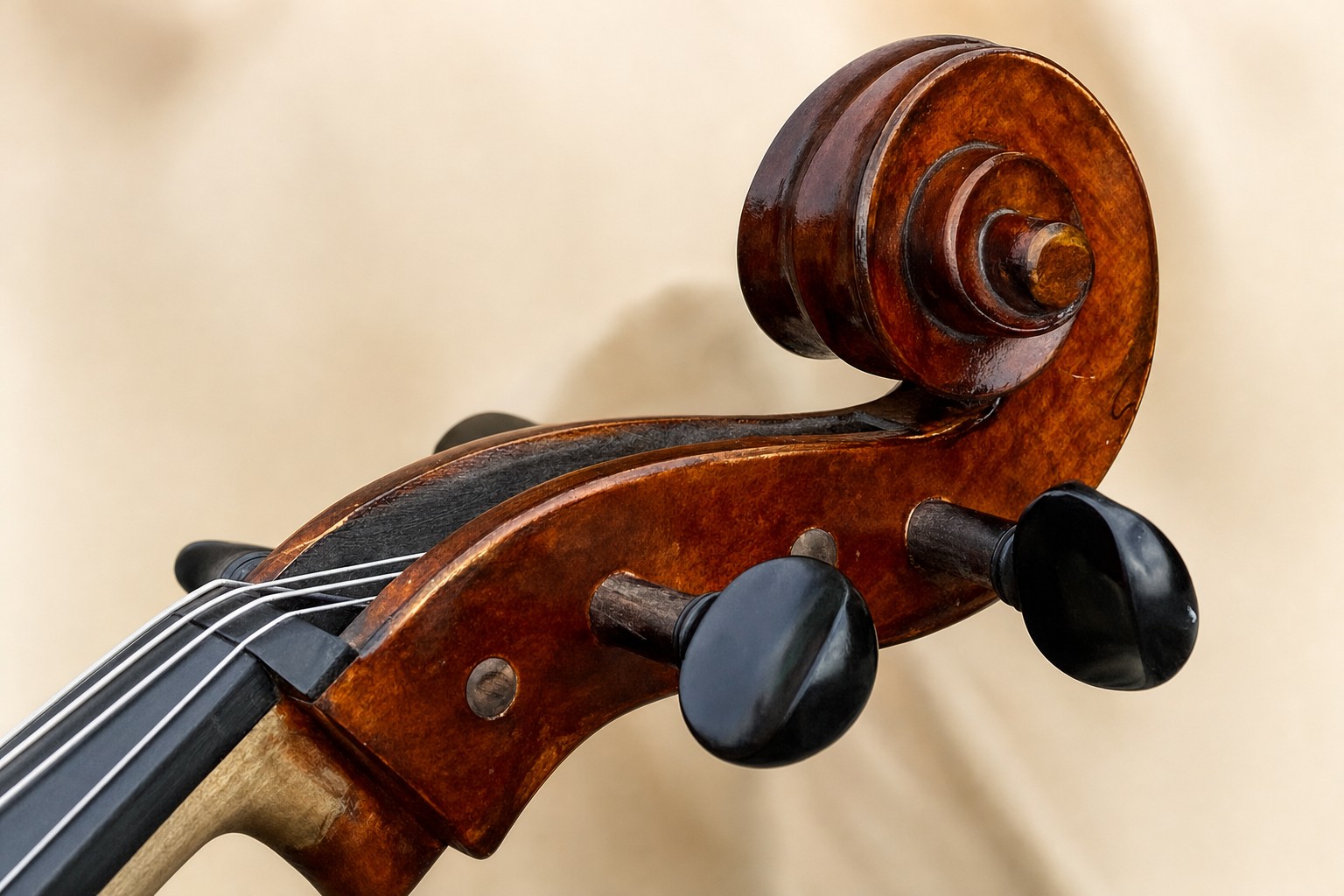 Close-up of a cello scroll and tuning pegs against a warm ivory background.