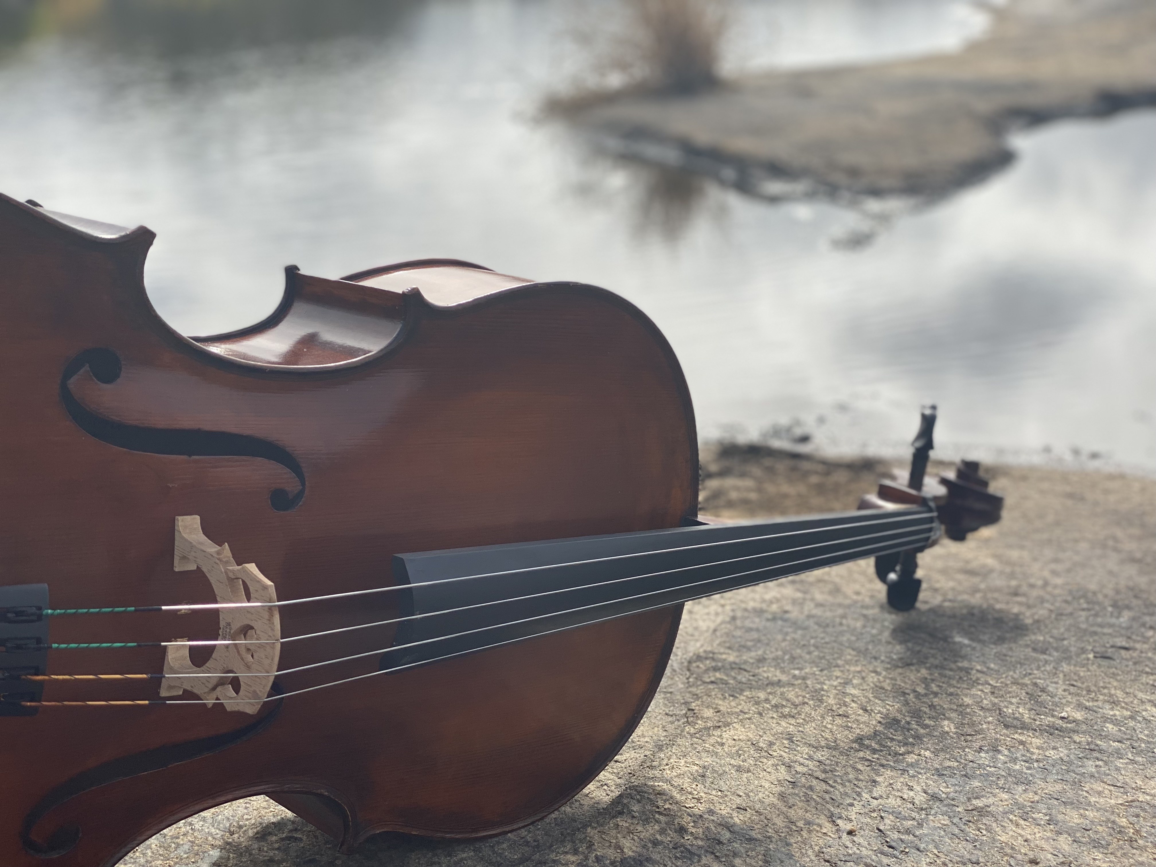 A cello beside the water.