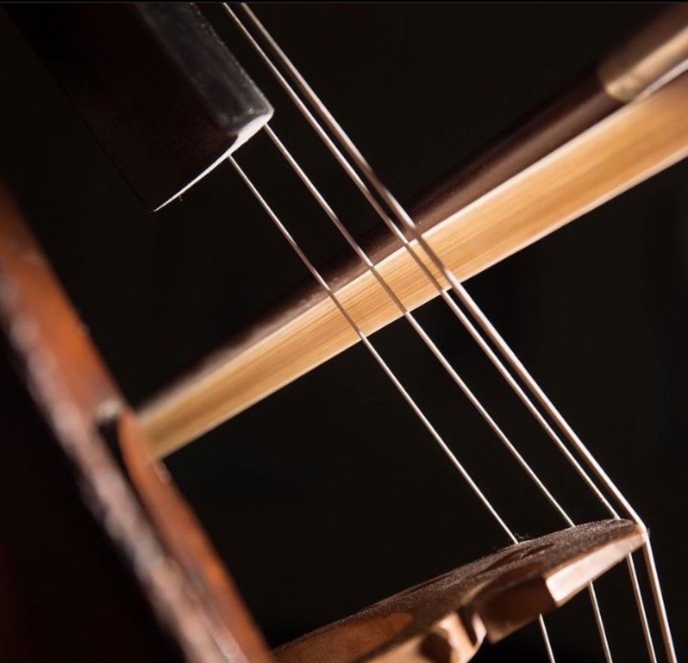 Questions to Ask a Wedding Cellist Before You Book
