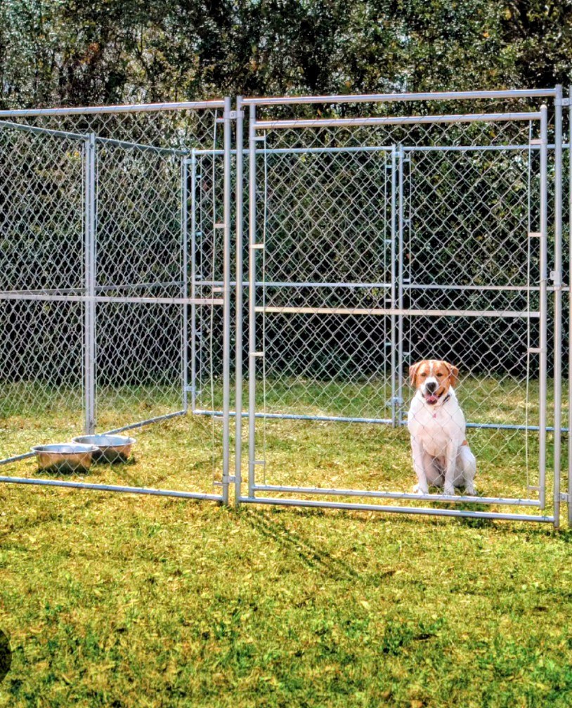 Dog resting inside a secure chain-link kennel run