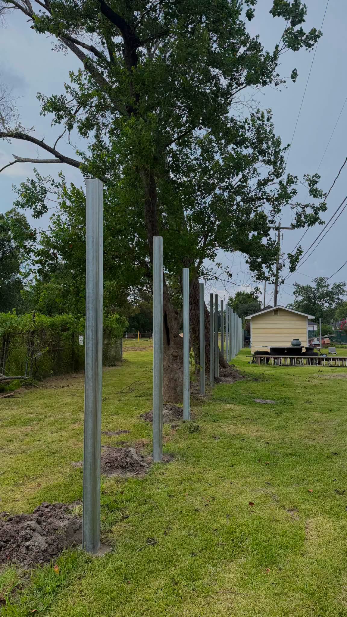 Steel posts set for a new wood privacy fence installation