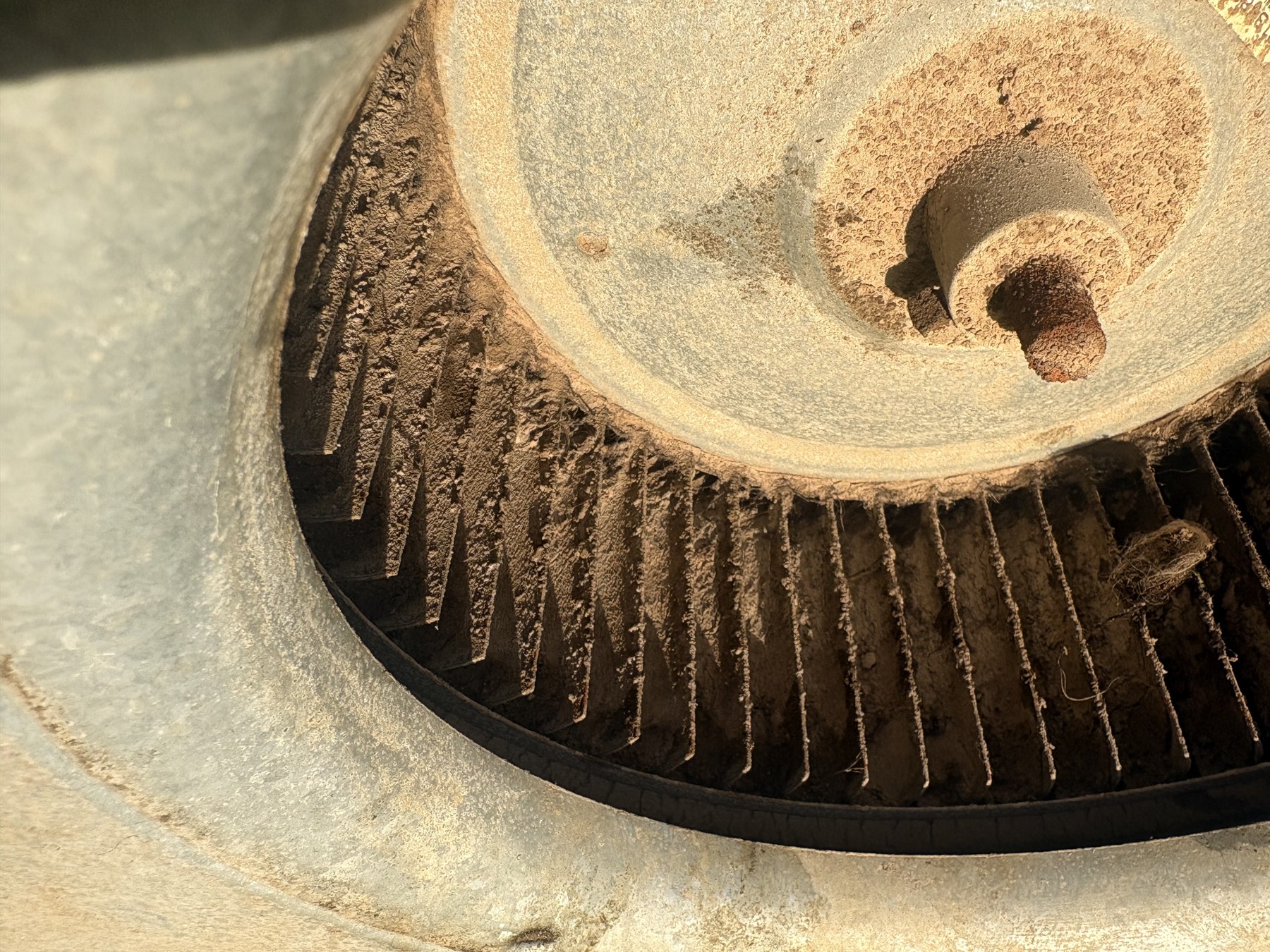 Close-up of dust on an HVAC blower wheel