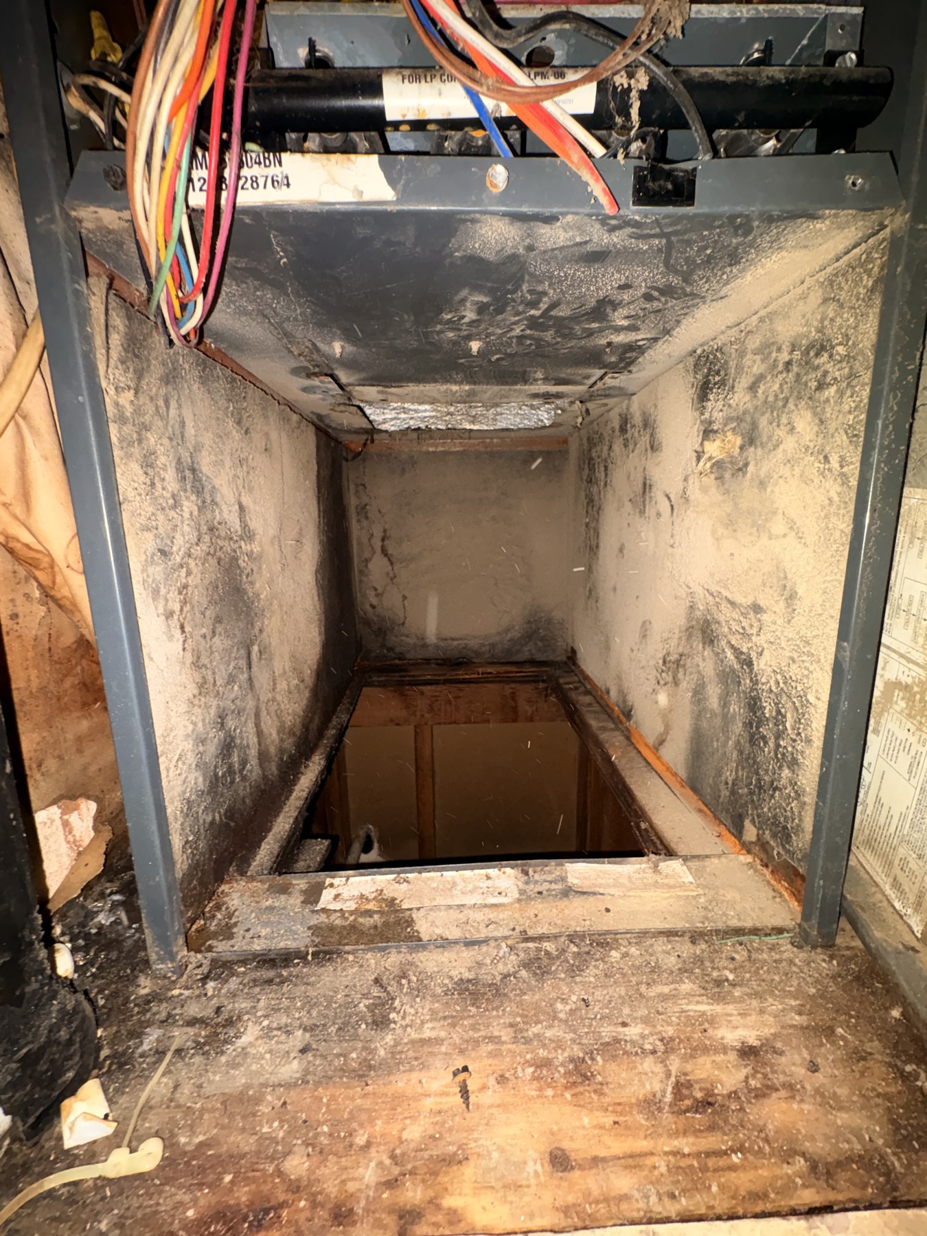 Interior of an HVAC blower compartment before cleaning