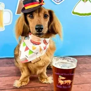 Pet Fashion Trends: What's In Style for Dogs and Cats?