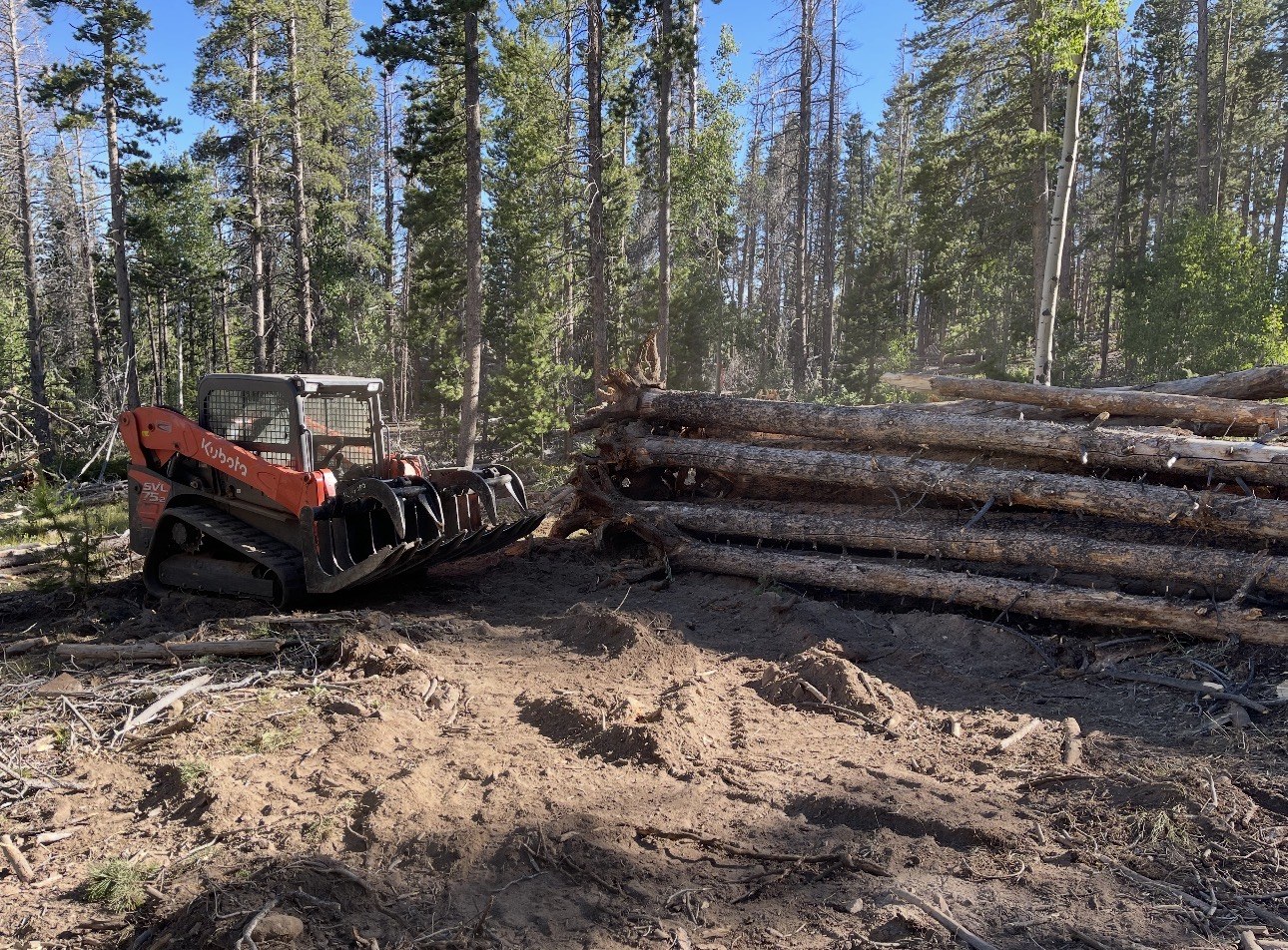 Beetle-kill pine logs gathered during fire mitigation