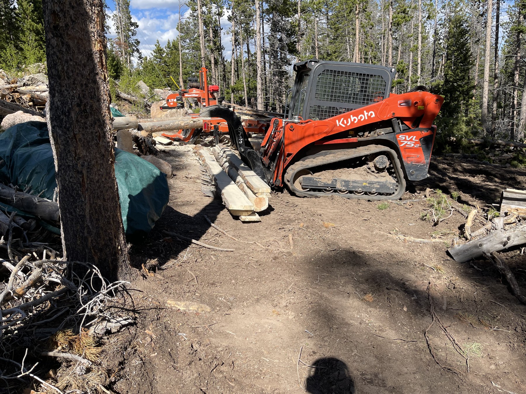 Fire mitigation and portable sawmill in a Colorado forest