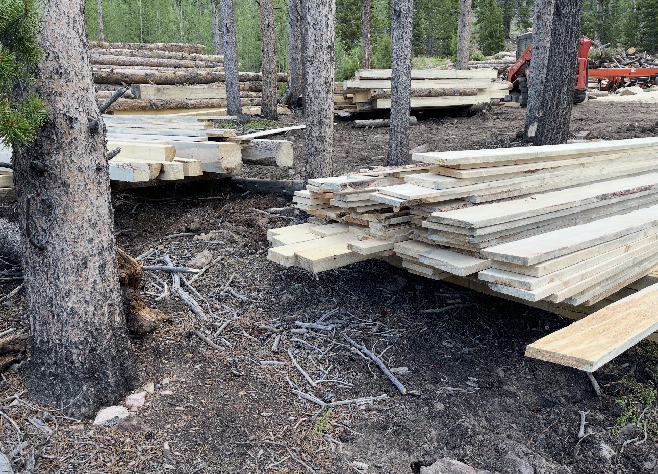 Freshly milled pine boards stacked in the forest