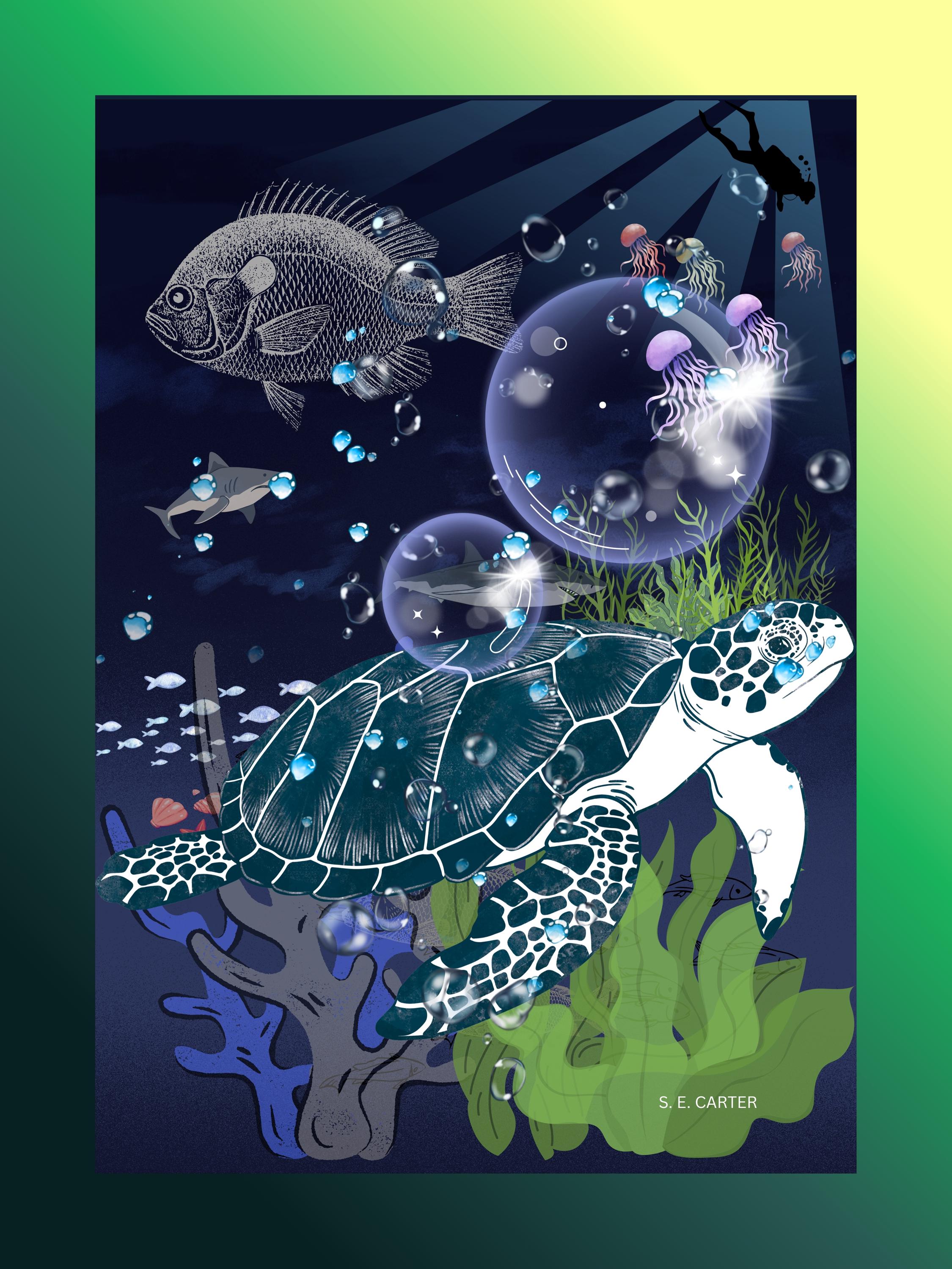 Wall art poster. Surreal, atmospheric, digital illustration -sealife, Photo paper poster 18x24