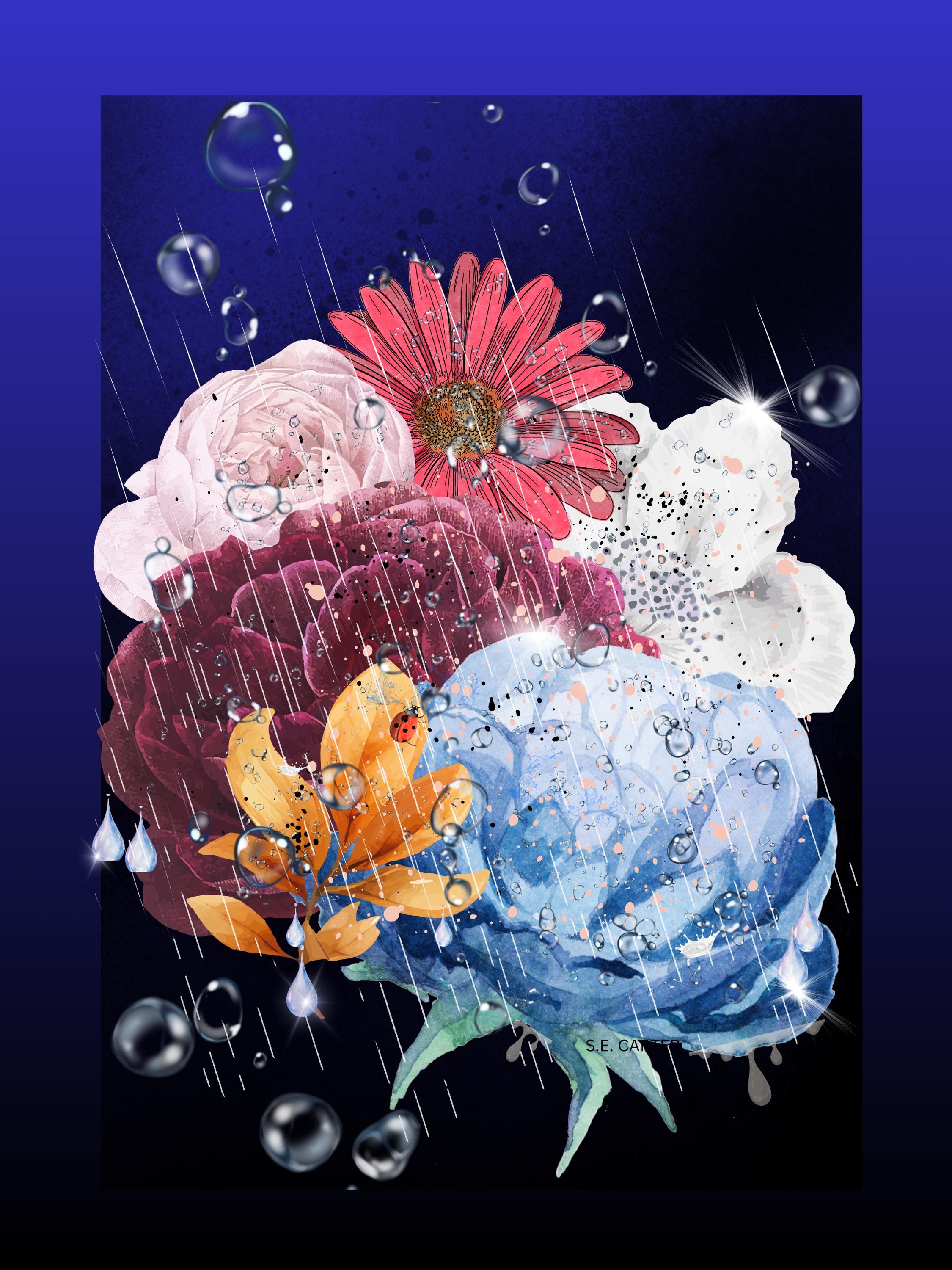 Wall art poster. Surreal, atmospheric, digital illustration -20x30 Metal prints - "The Ladybug"