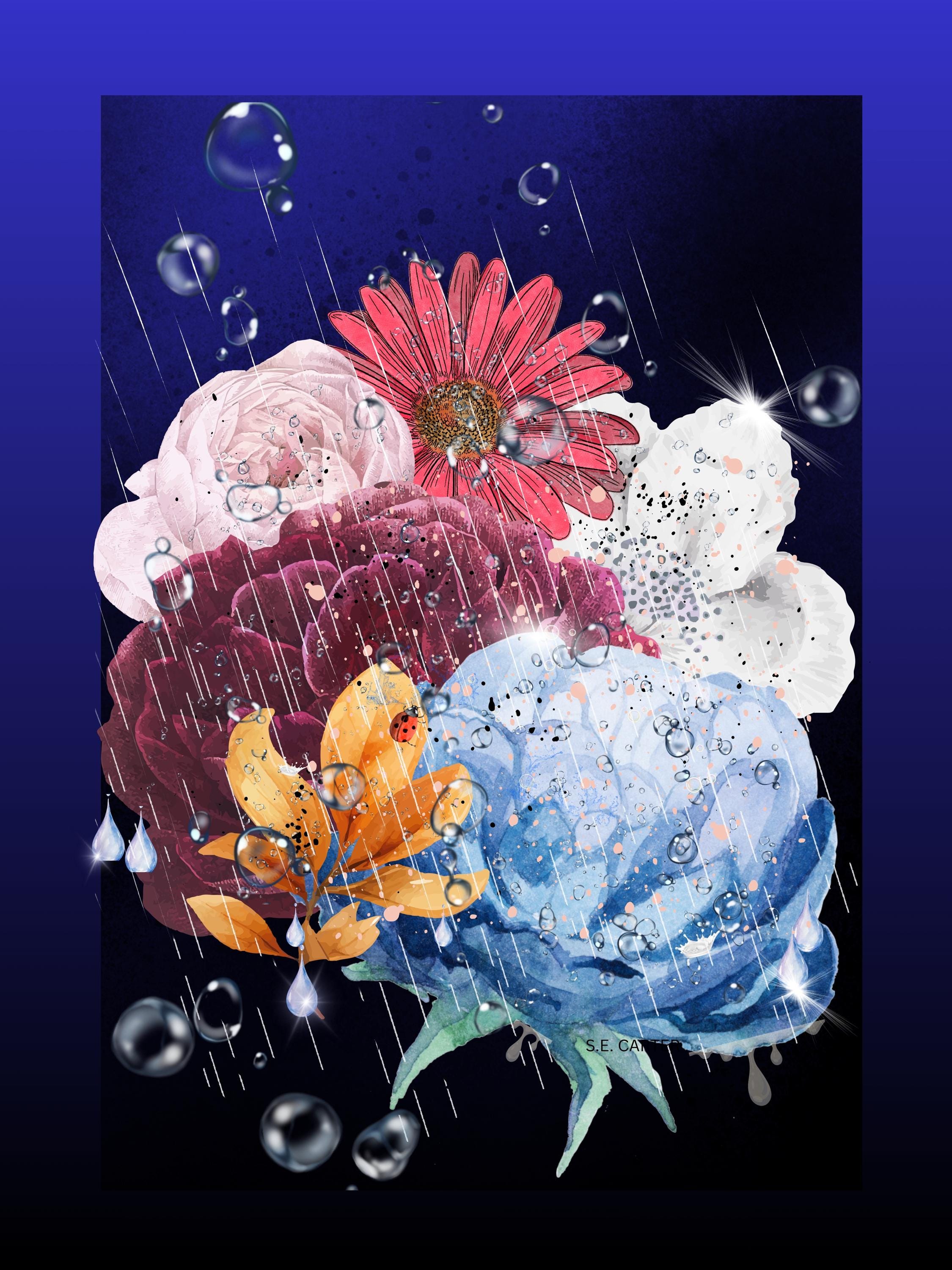 Wall art poster. Surreal, atmospheric, digital illustration -Canvas 18x24 - "Ladybug"