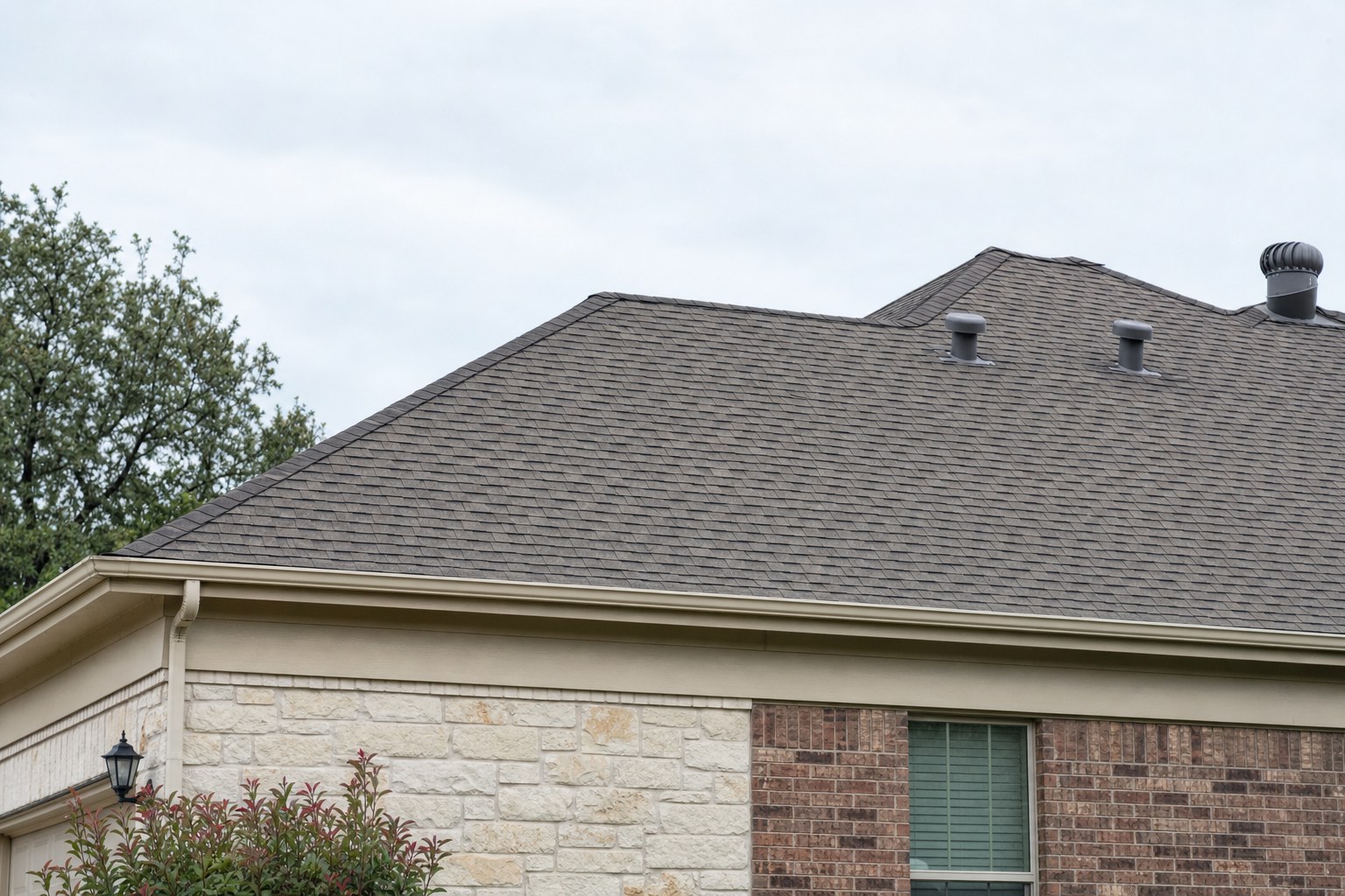 Residential asphalt shingle roof and gutter viewed from the ground