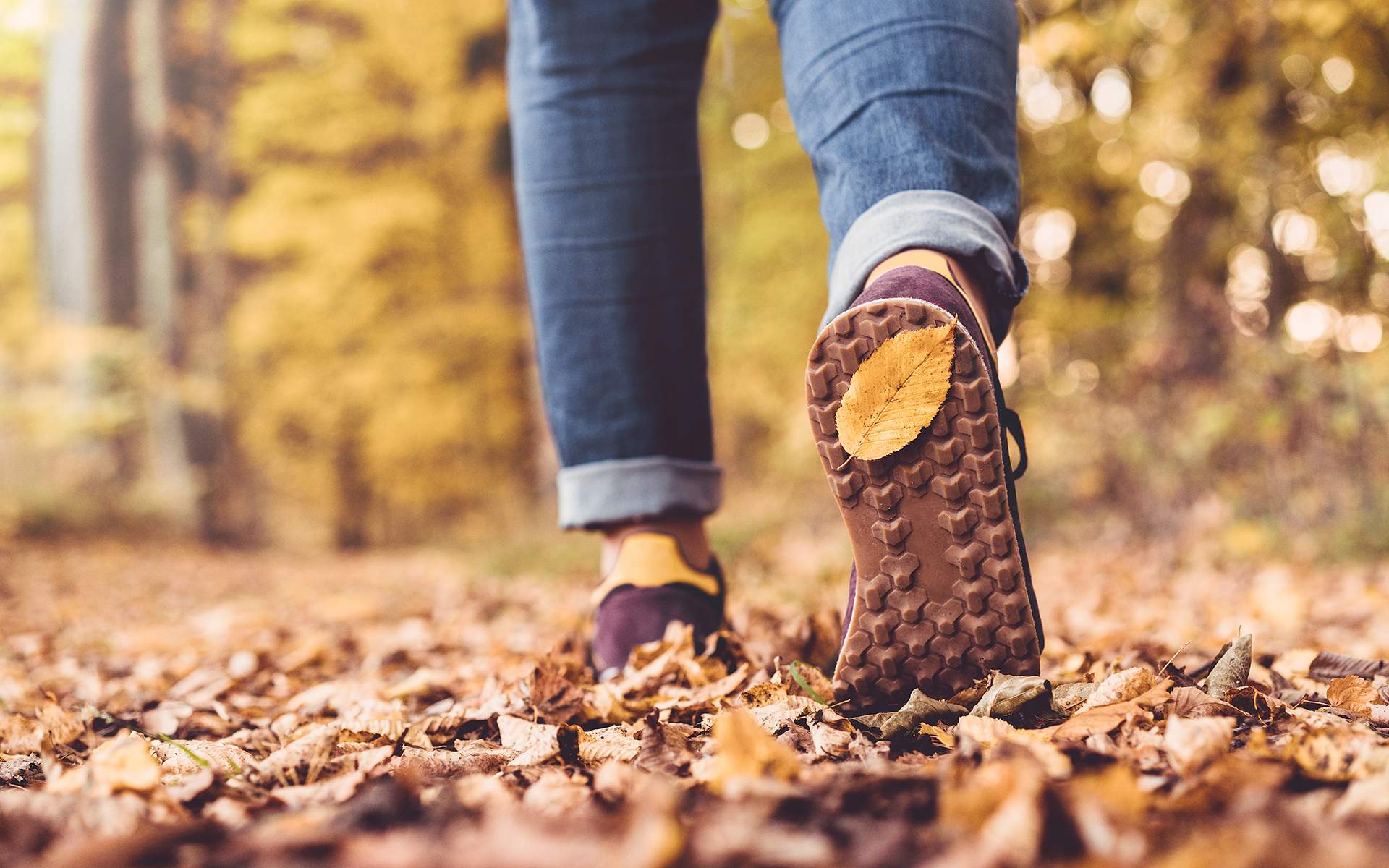 A person walking along a leaf-covered path