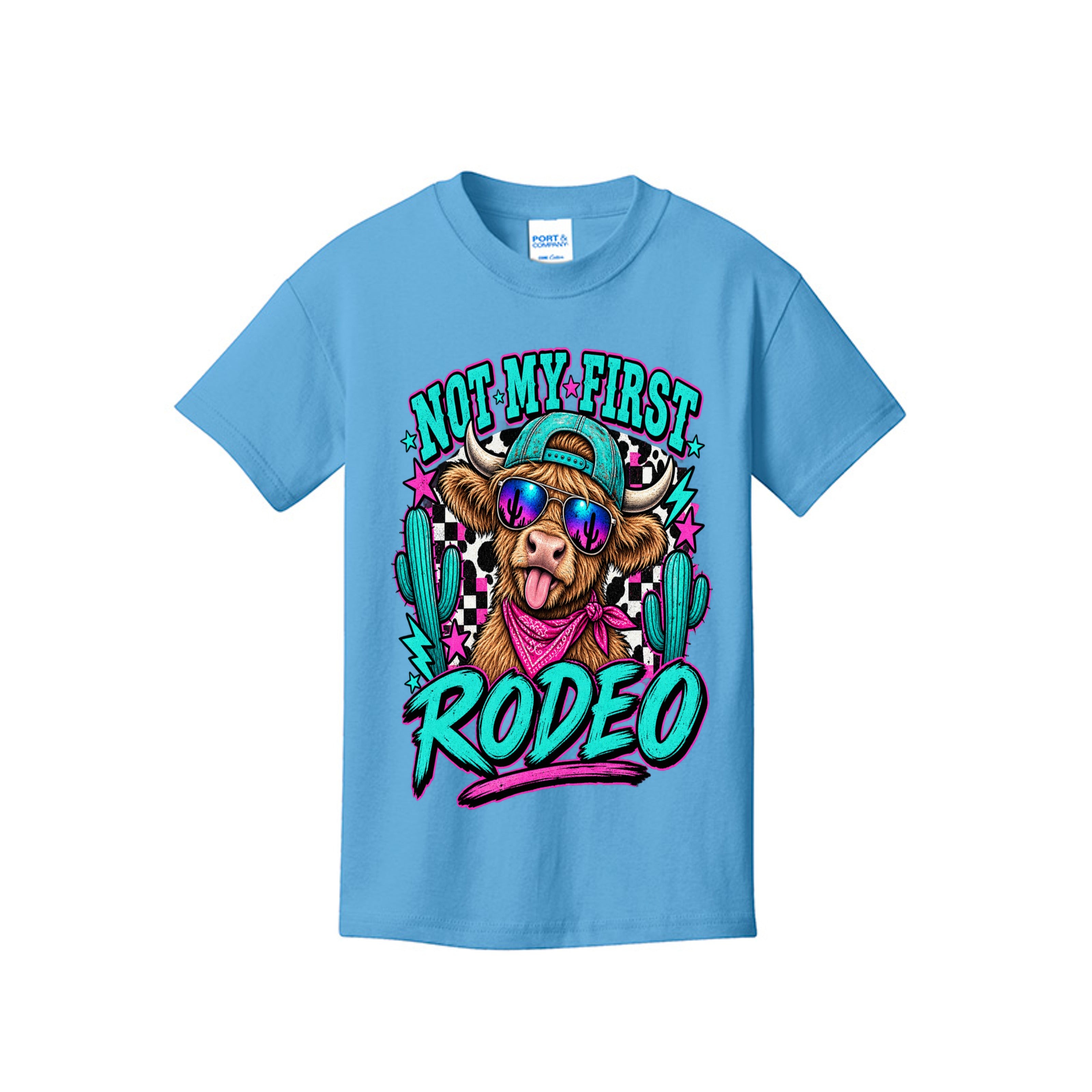 Not My First Rodeo Western Graphic Tee 🤠