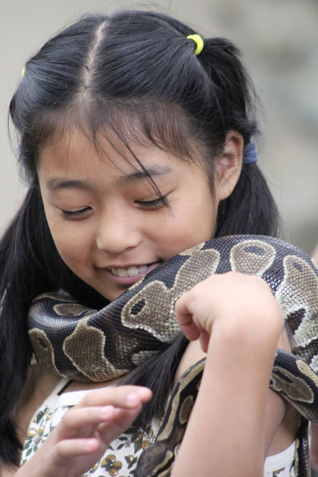 A smiling girl holding a ball python during a Snake Encounters show