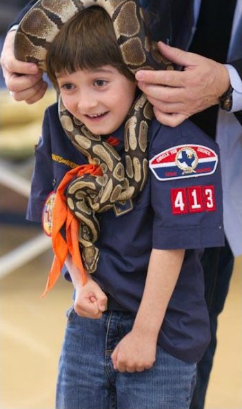 A smiling Cub Scout with a ball python around his shoulders