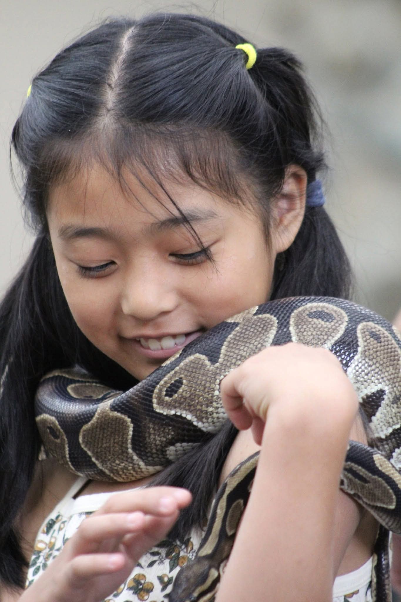 Young girl calmly holding a ball python during a Snake Encounters program