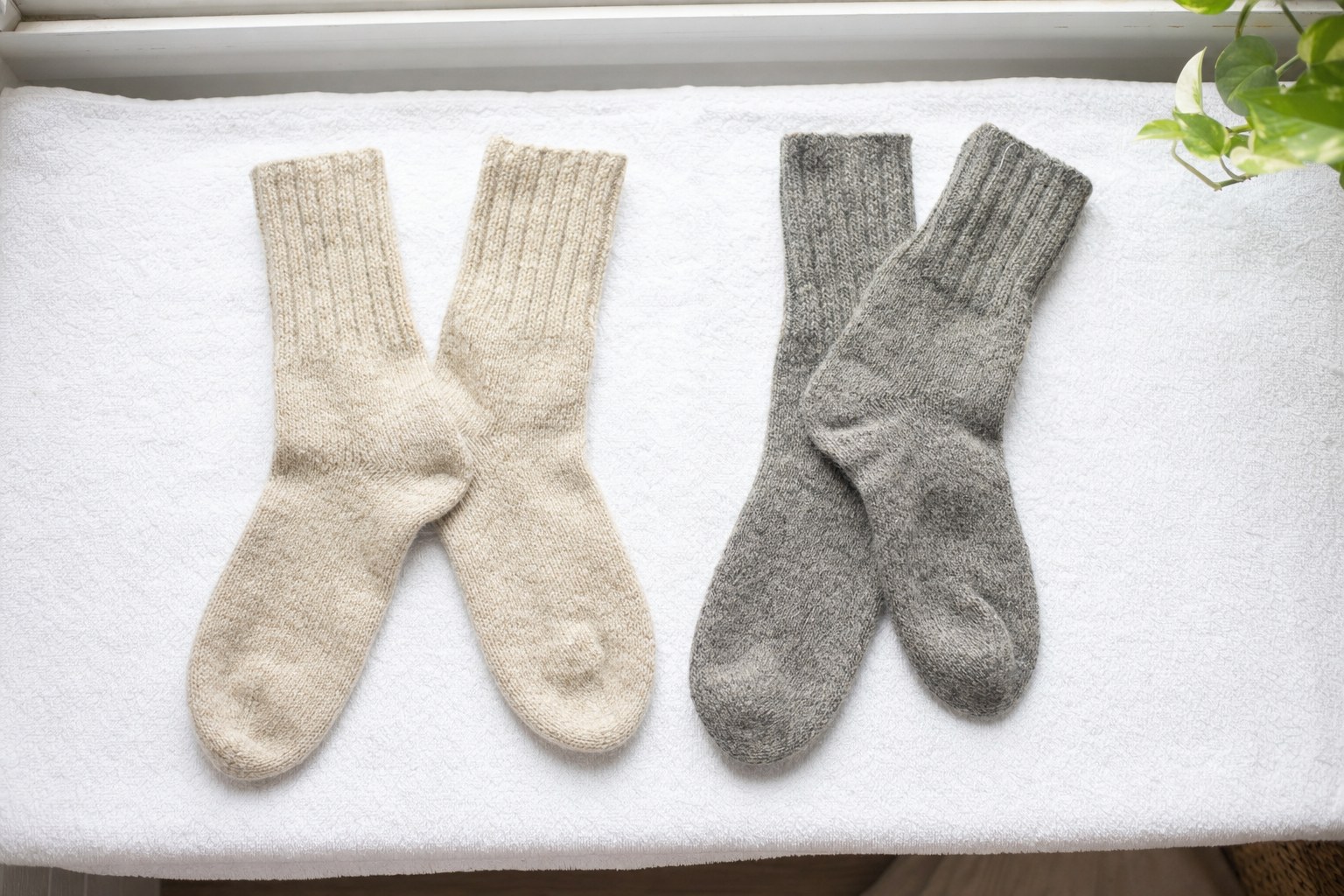 Two pairs of wool socks drying flat on a white towel