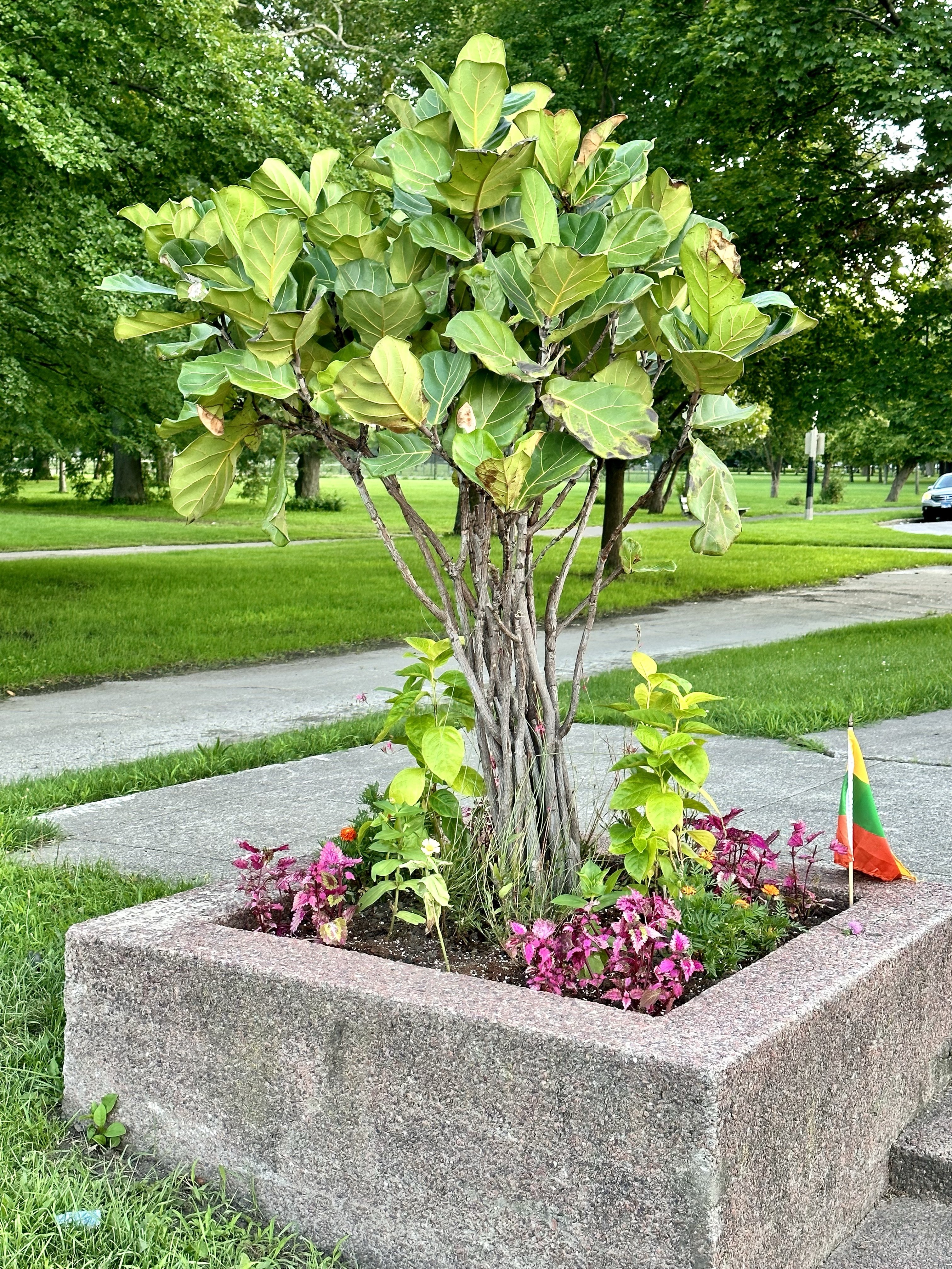 Photograph from DARIUS GIRENAS MEMORIAL IN CHICAGO’S MARQUETTE PARK COMMUNITY