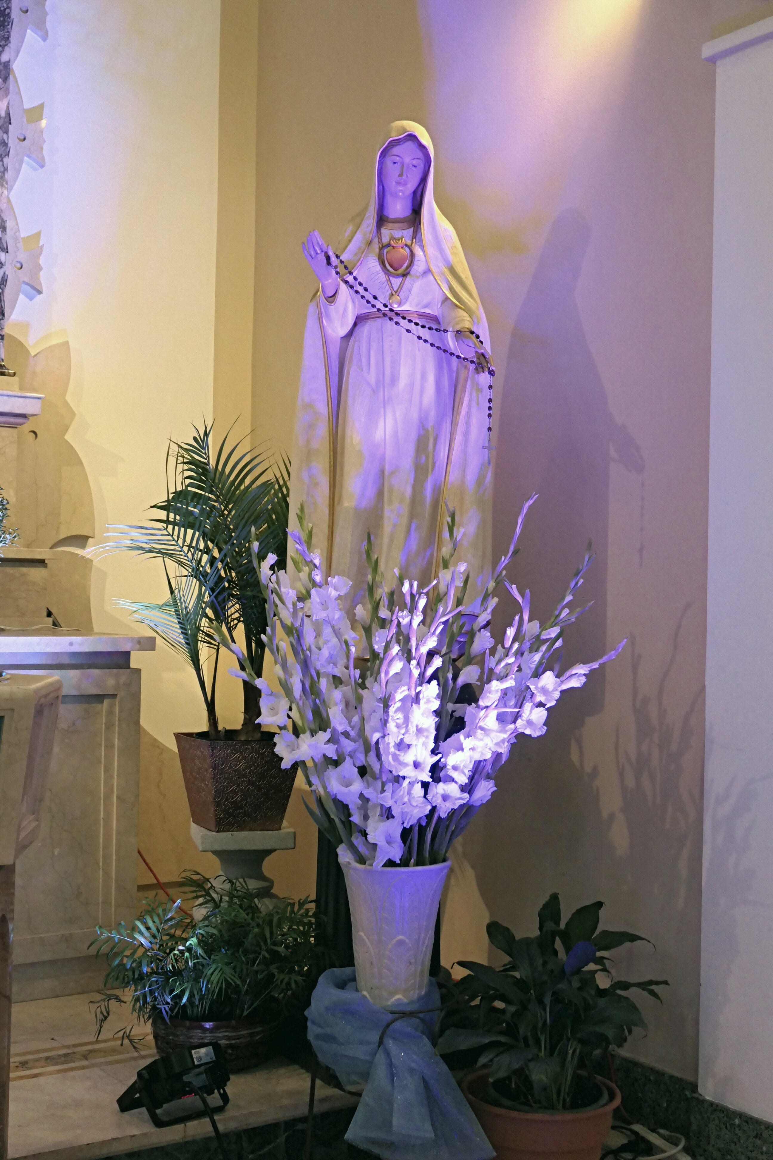 Photograph accompanying Sunday, September 8th we celebrated Mary under her title of Our Lady who appeared in Siluva (Lithuania) at Nativity of the Blessed Virgin Mary parish in Chicago’s Marquette Park community (from the Knights of Lithuania)…