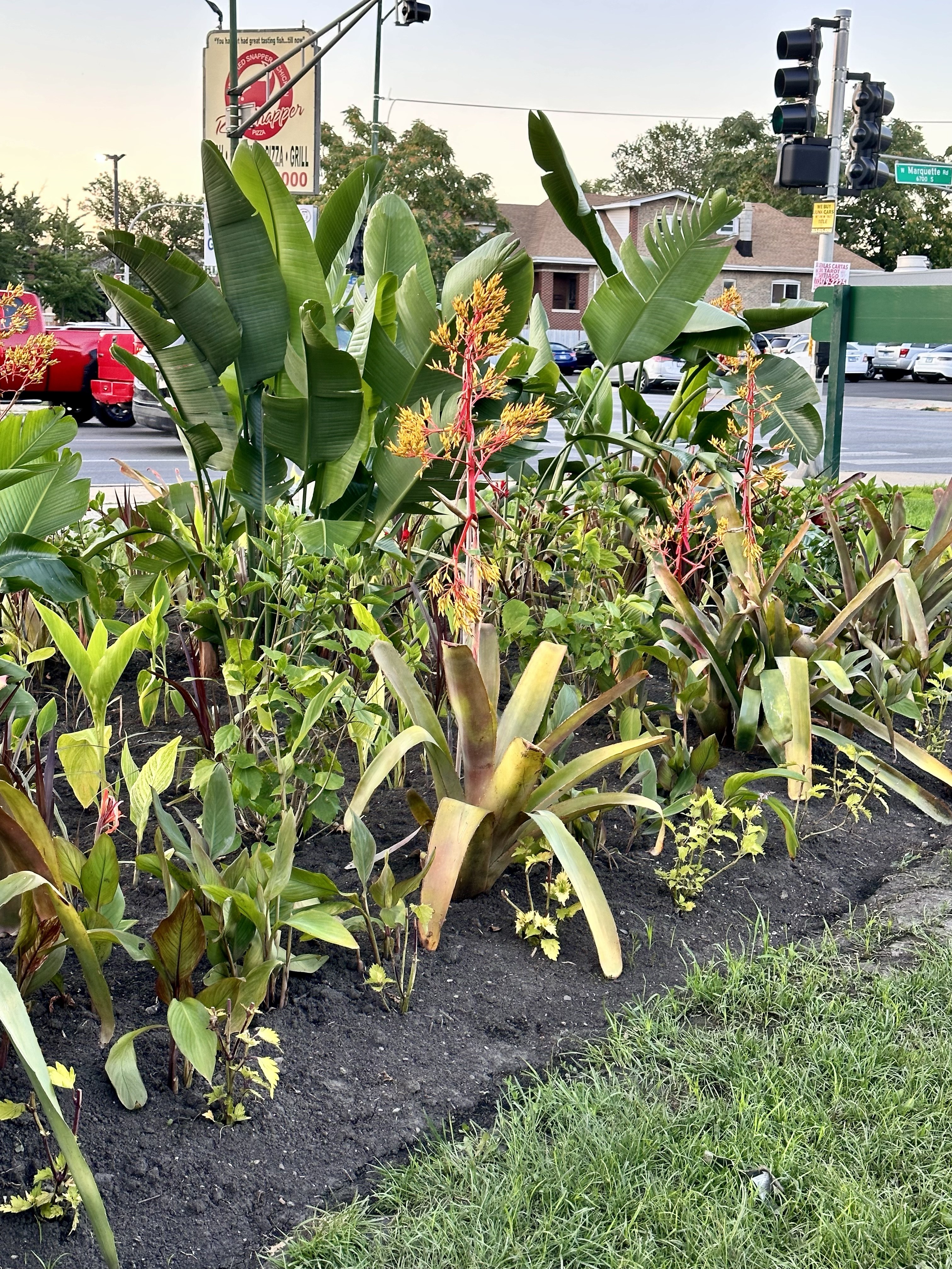 Photograph from DARIUS GIRENAS MEMORIAL IN CHICAGO’S MARQUETTE PARK COMMUNITY