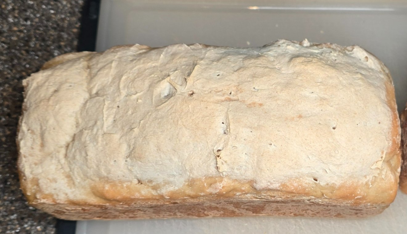 Homestyle Dough Gluten Free 1 LB white bread