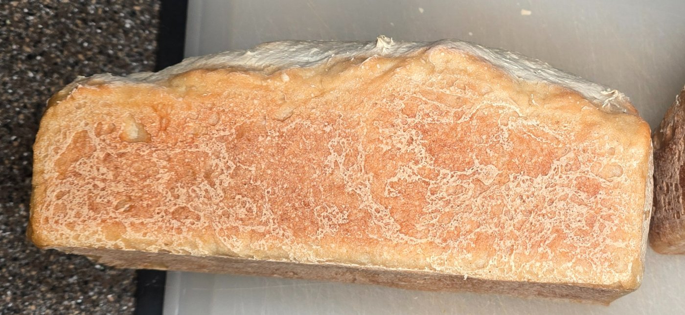 Homestyle Dough gluten free bread shown from another angle