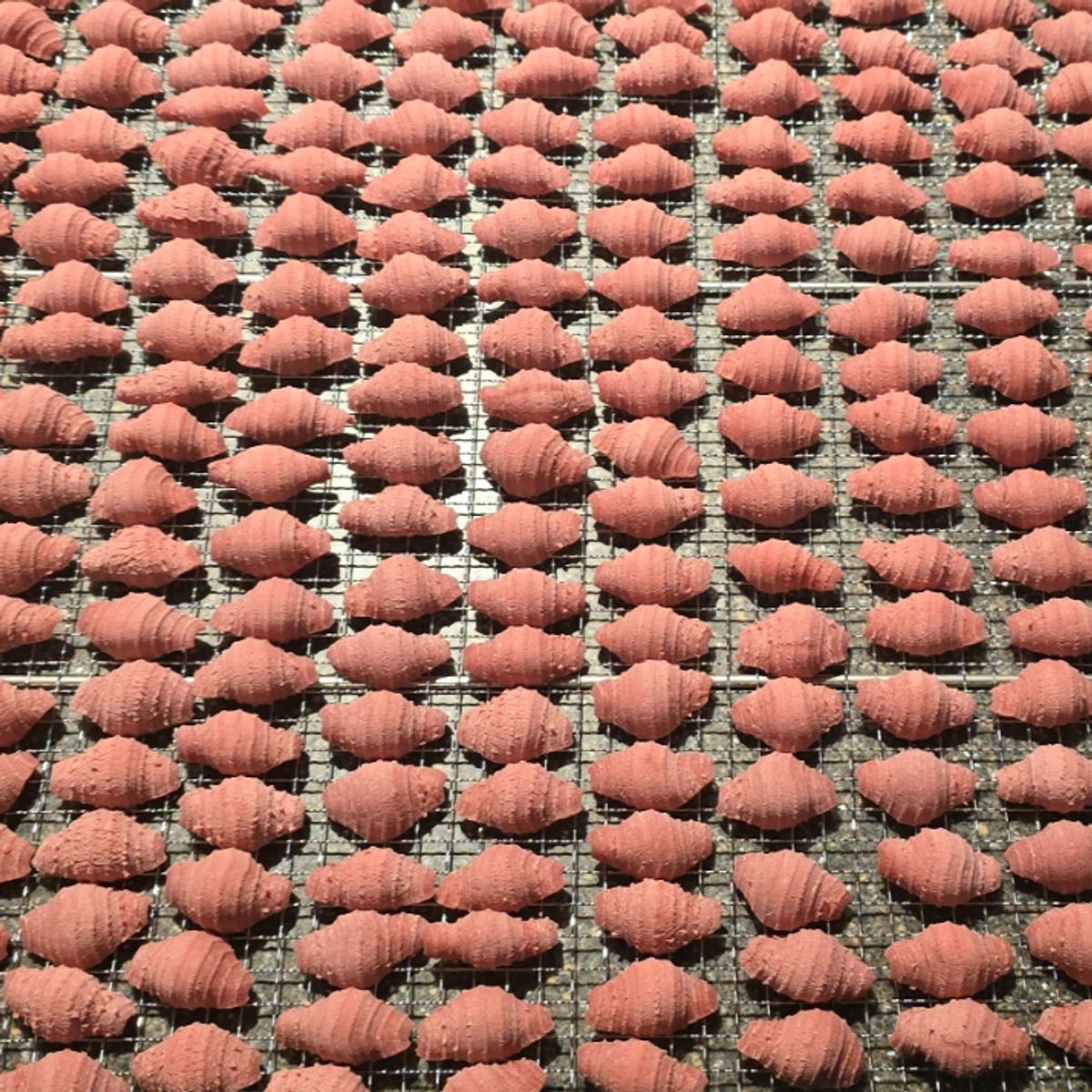 Red Wine Seashells semolina pasta