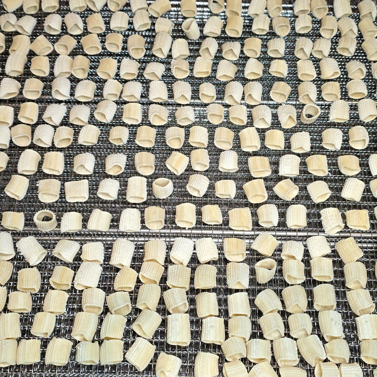 Mezzi Rigatoni semolina pasta