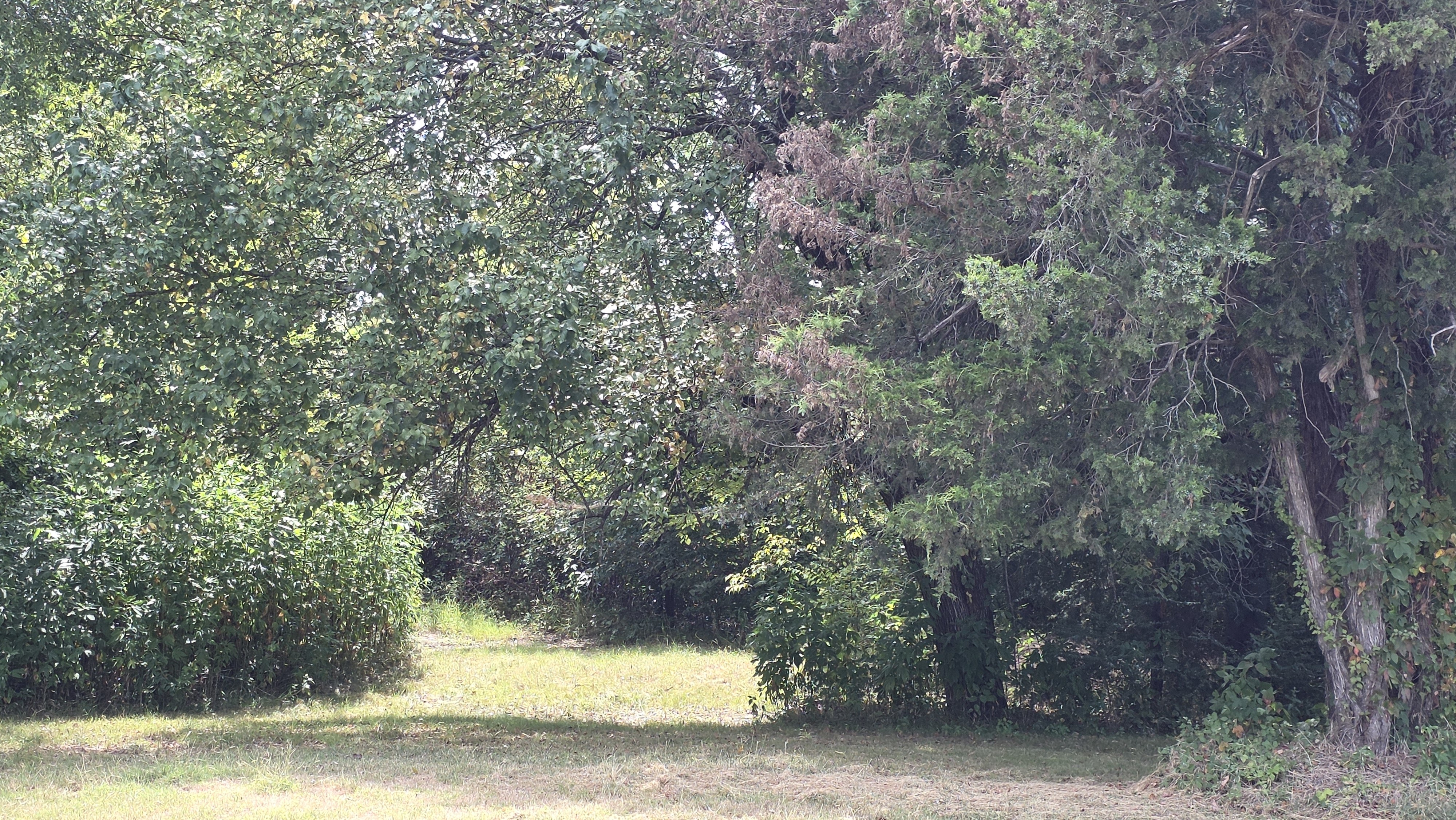 The Haven at Cooke property view 8
