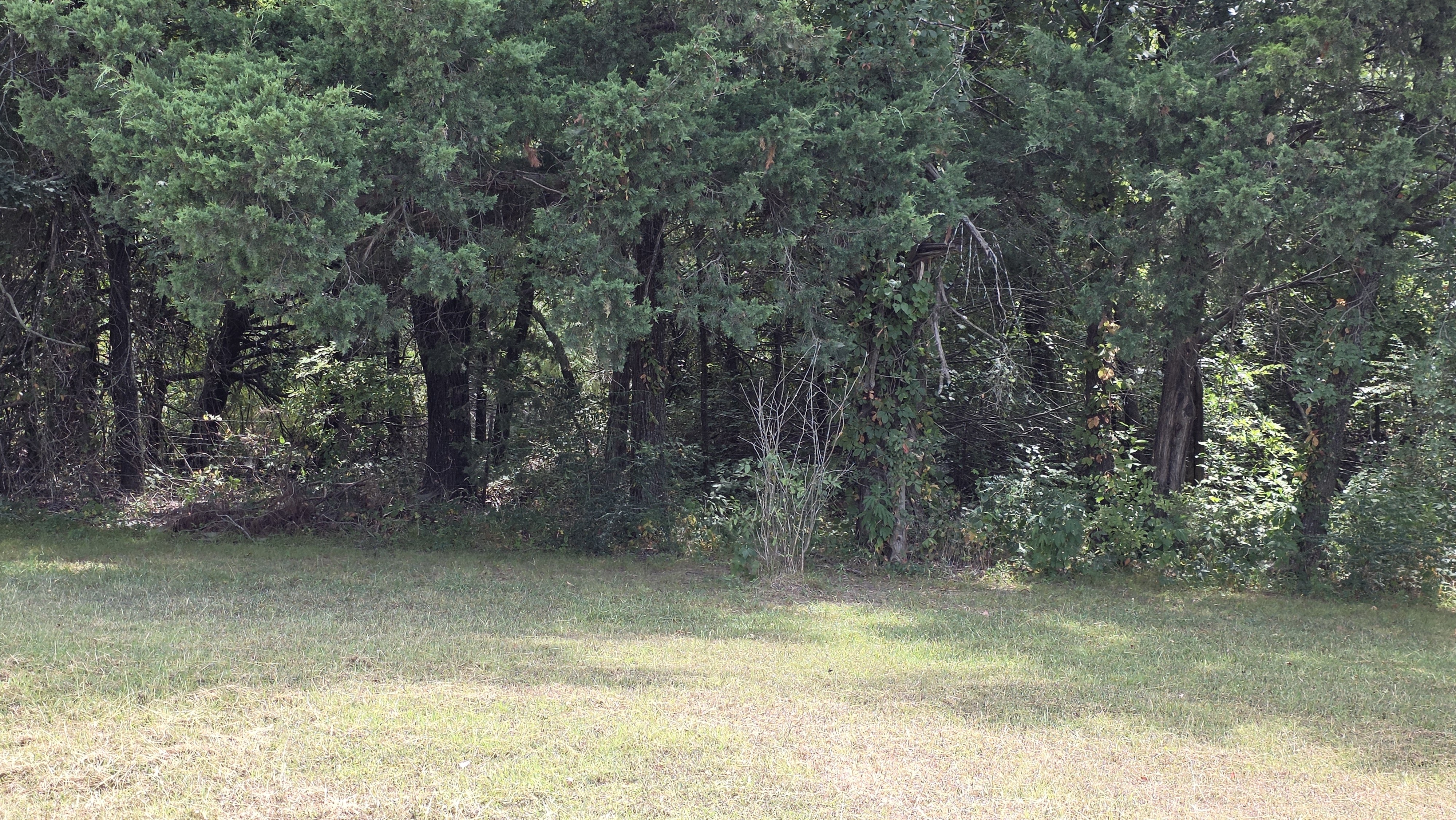 The Haven at Cooke property view 9