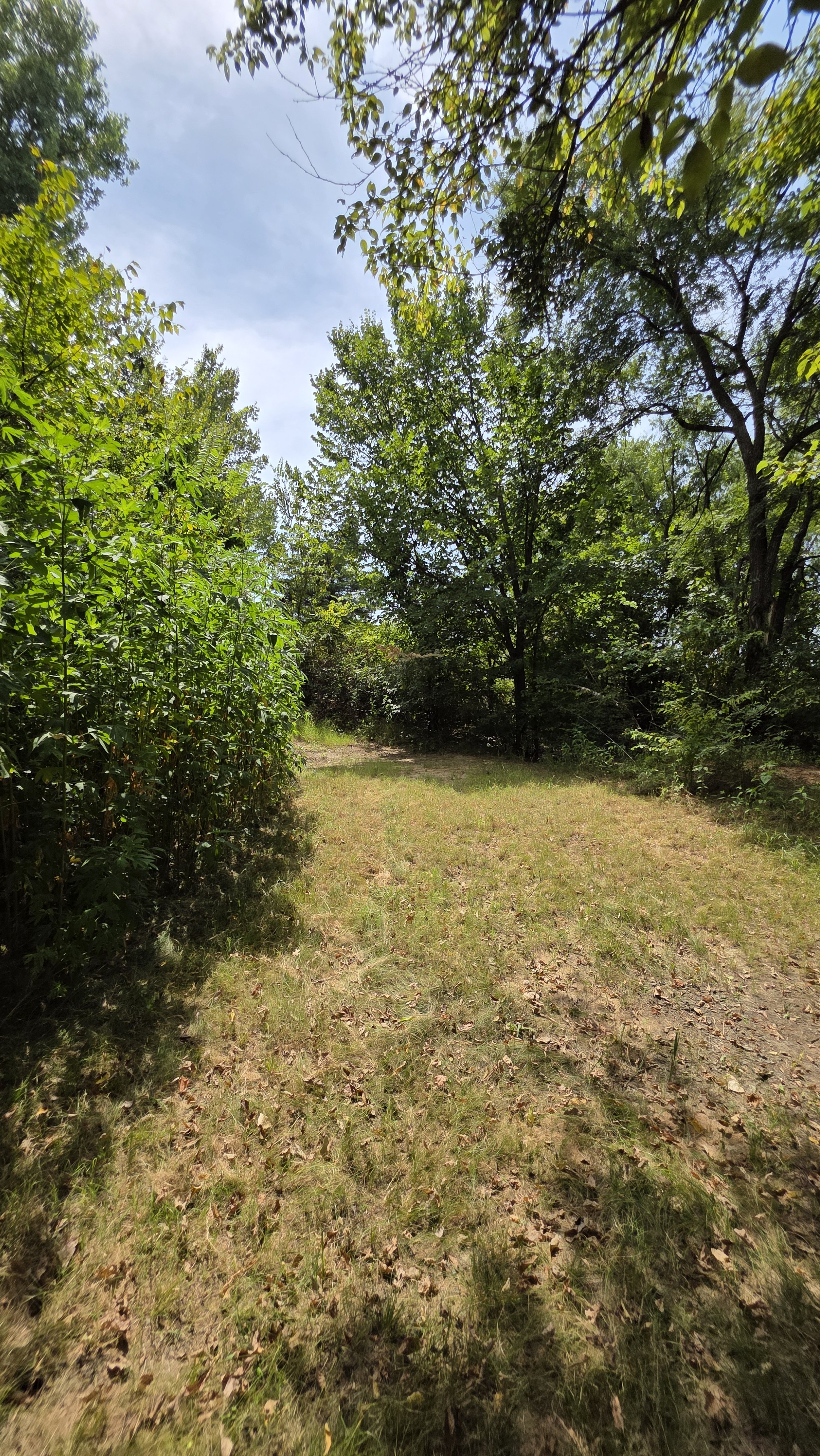 The Haven at Cooke property view 11