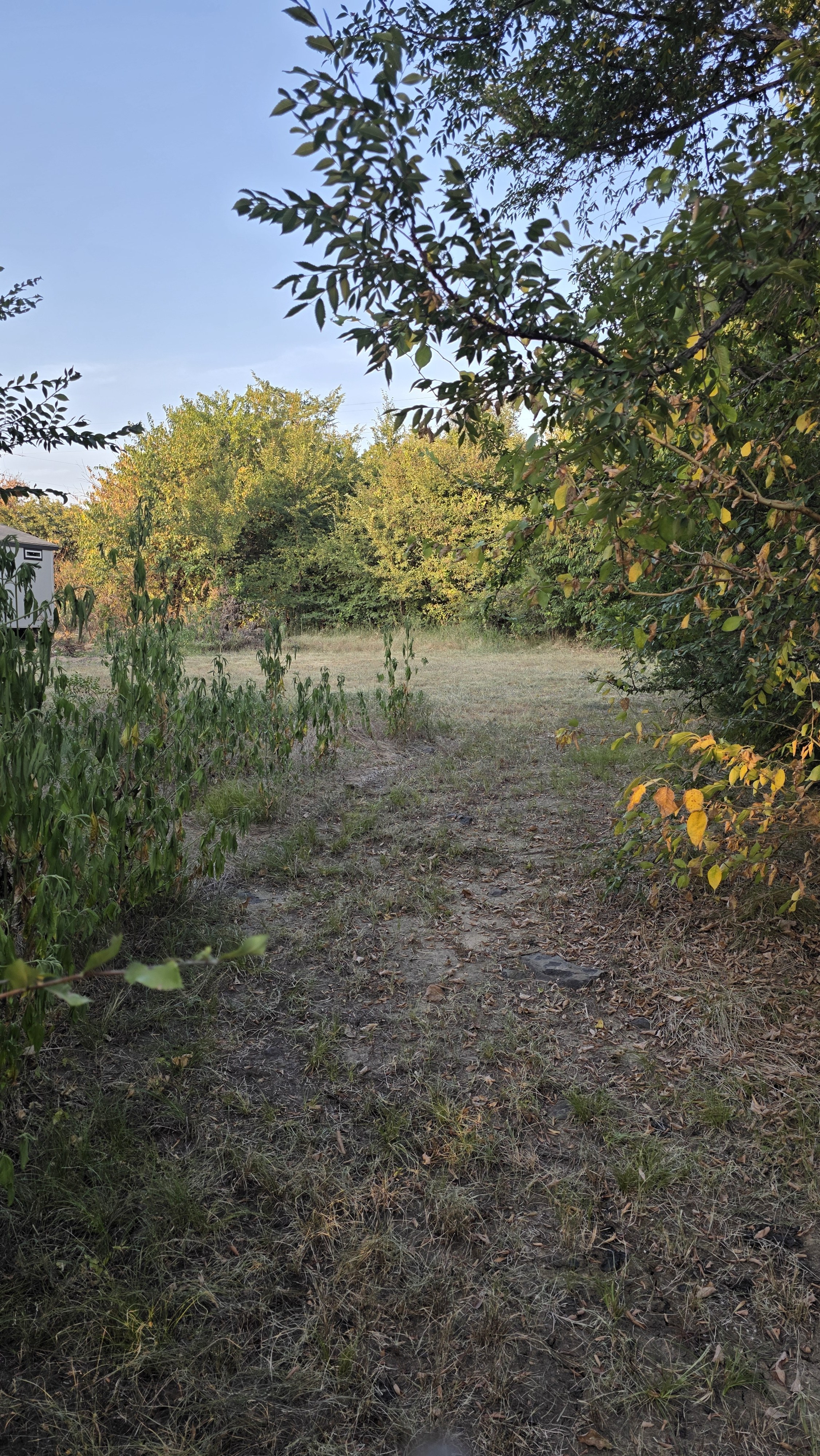 The Haven at Cooke property view 18