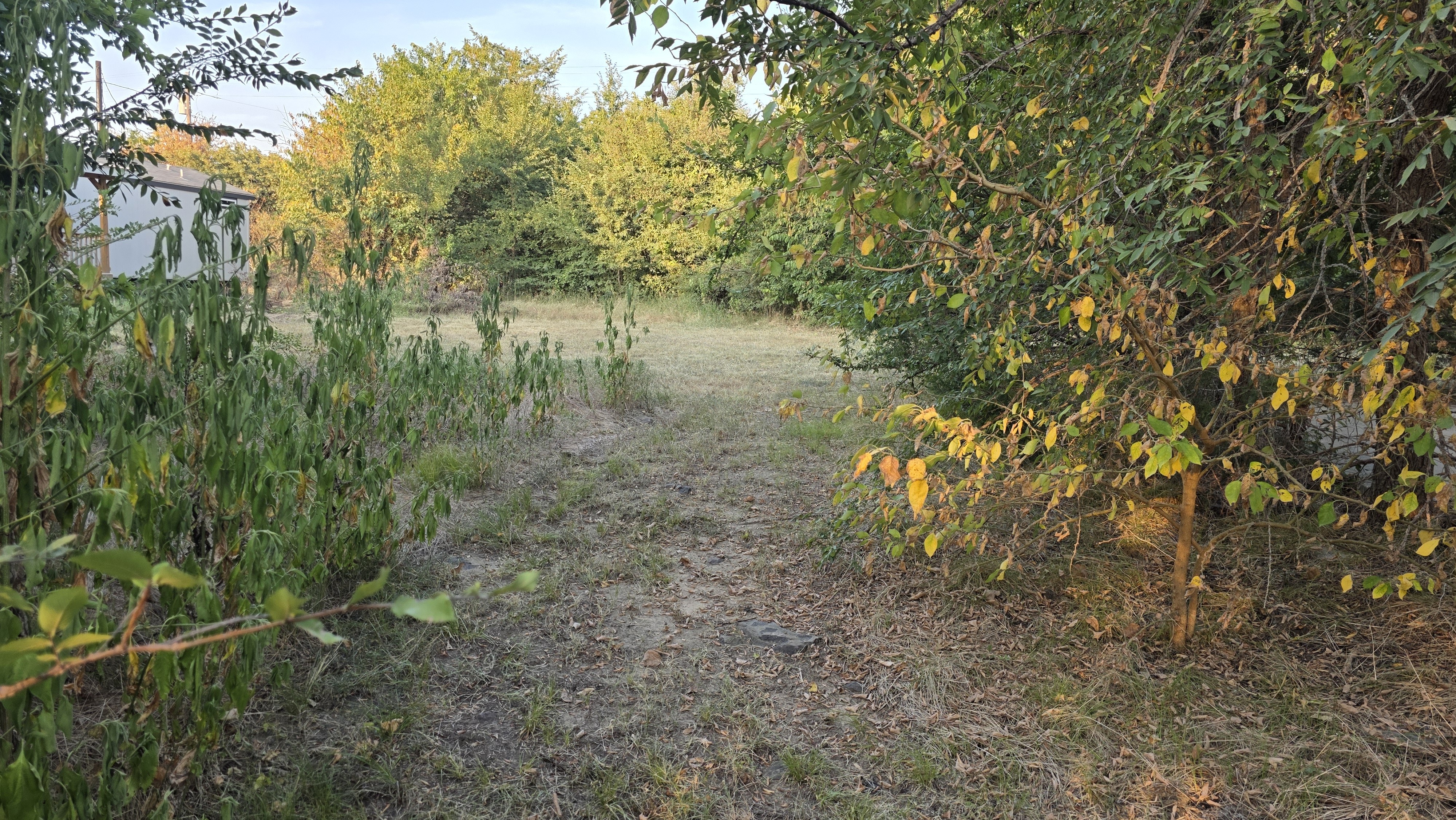 The Haven at Cooke property view 4