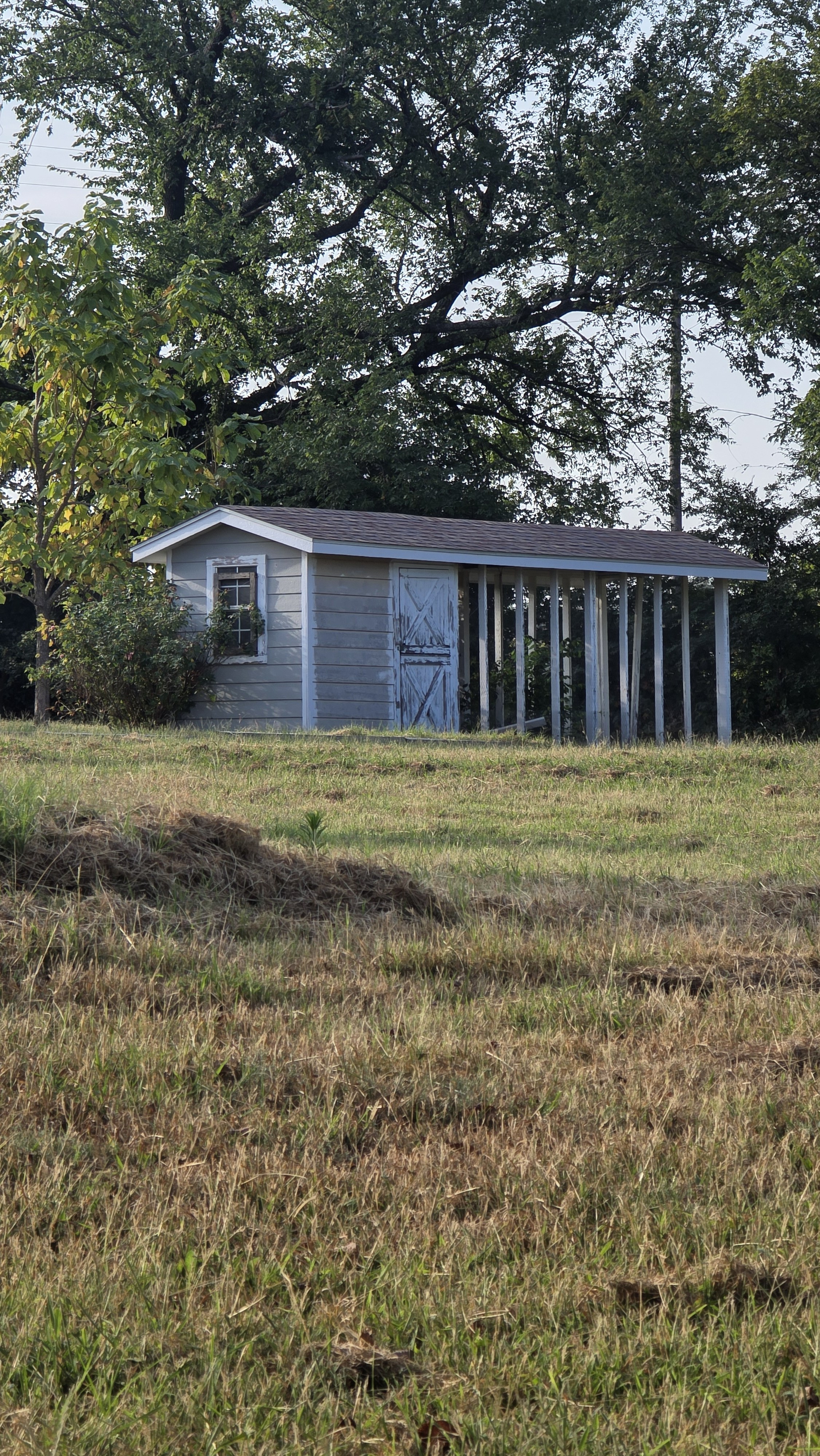 A small cottage beneath mature trees on the property