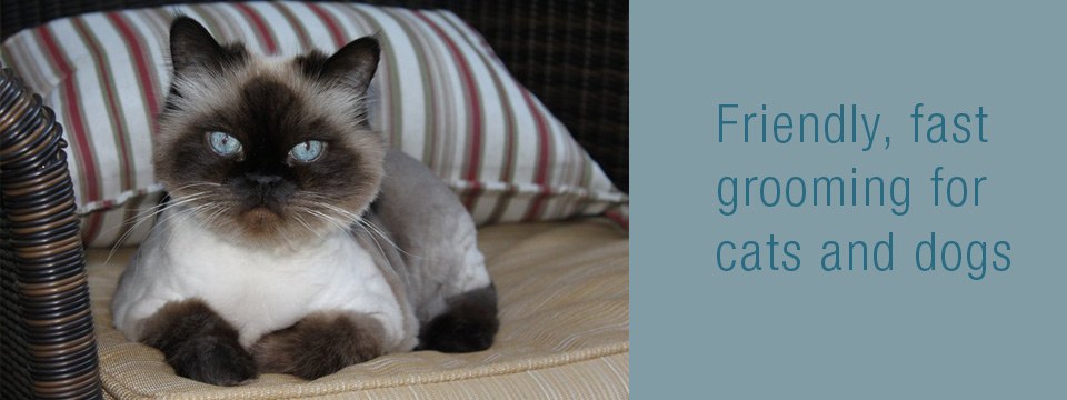 Pet Palace grooming services