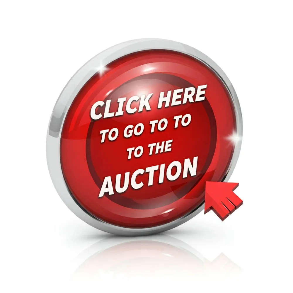 Auction Bids Are Low but Gold and Silver Prices Soar — photo 2