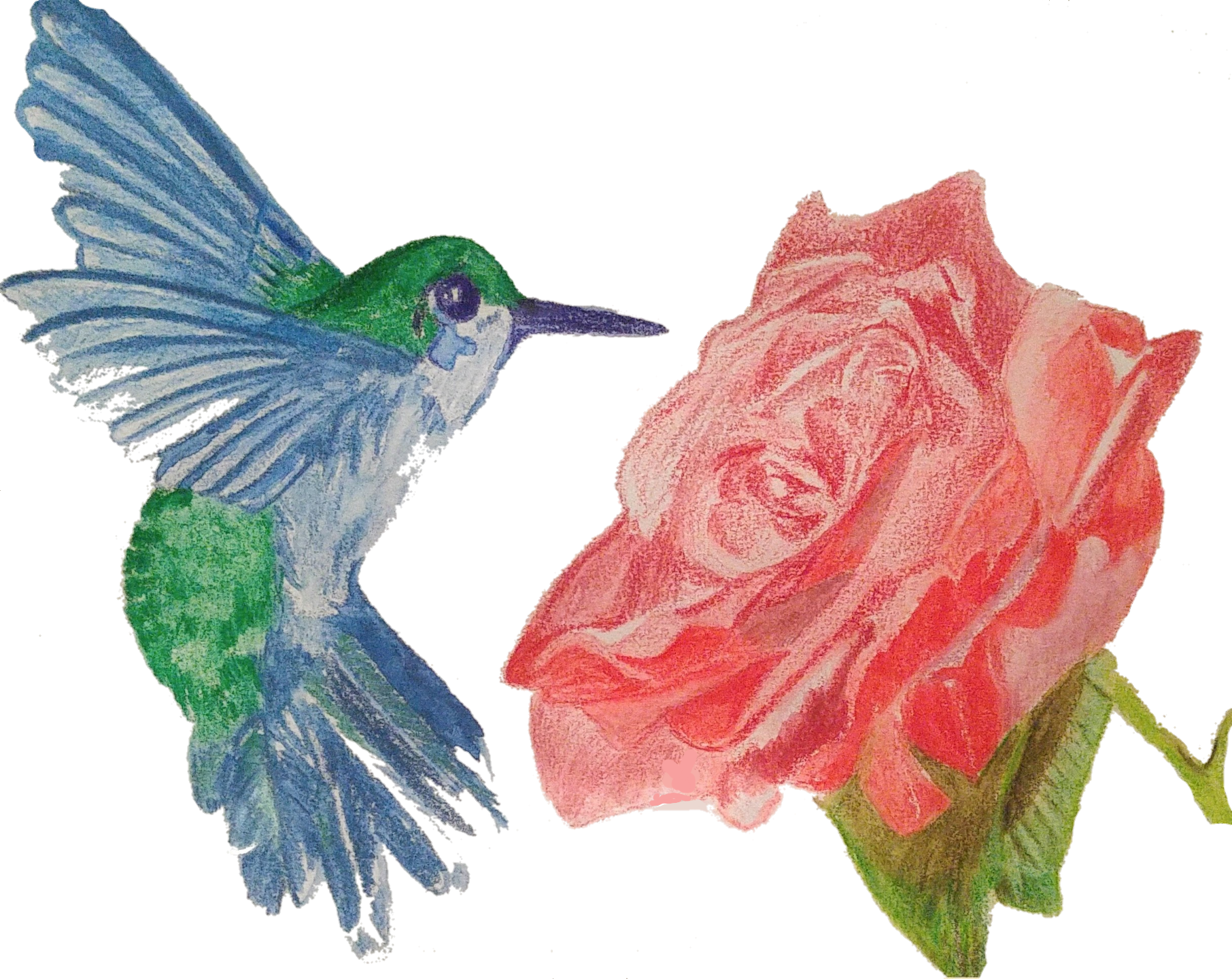 JmurArt Art artwork