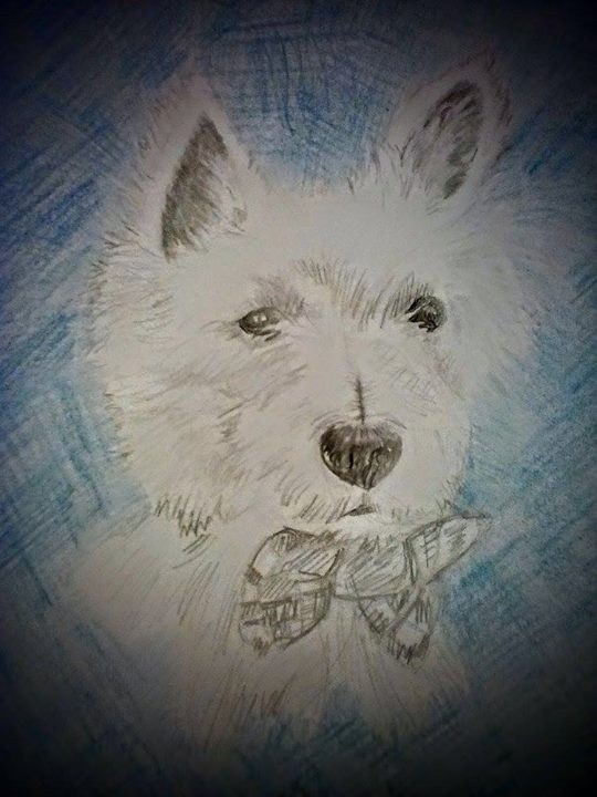 Colorful JmurArt dog portrait