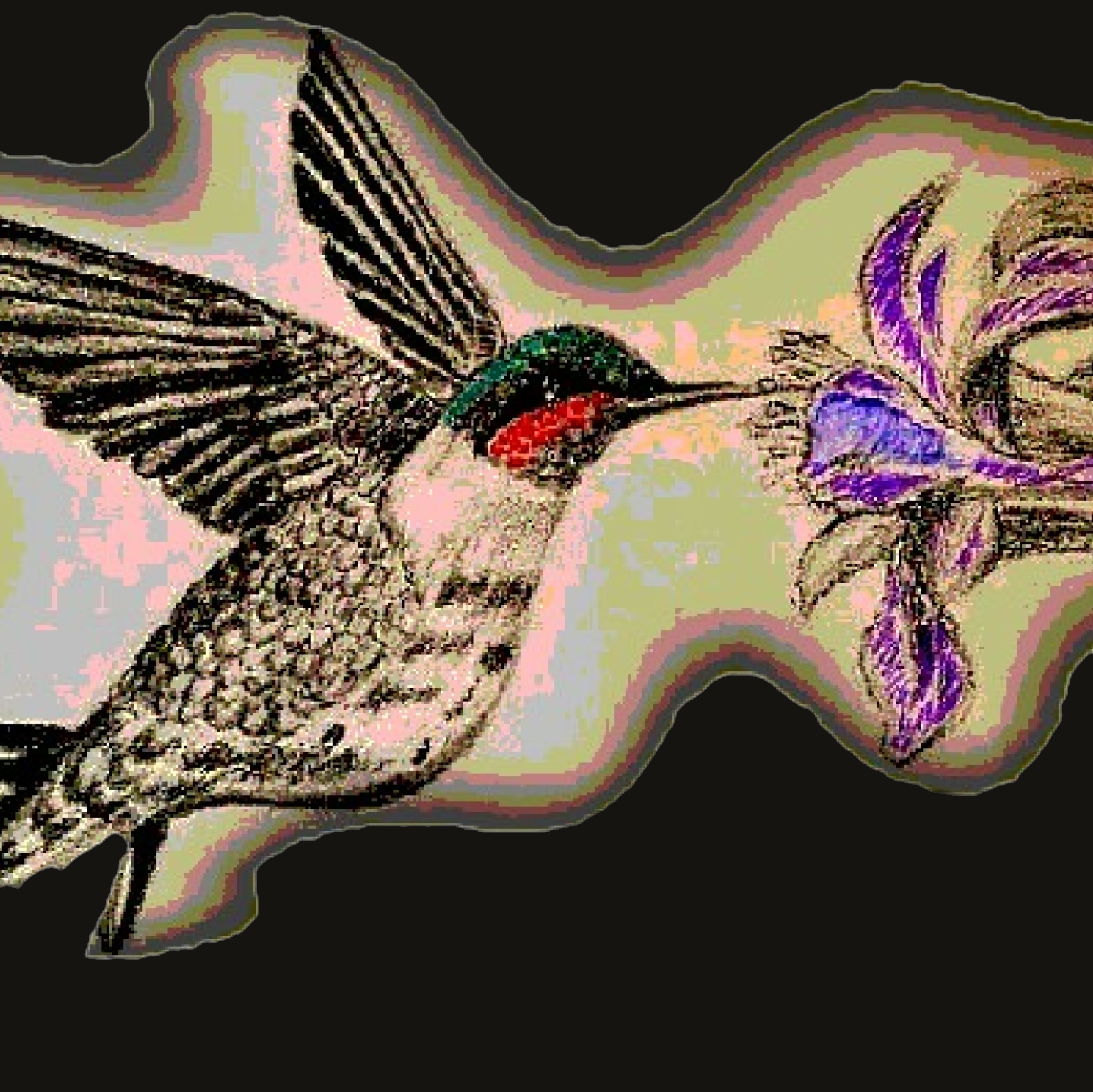 JmurArt hummingbird artwork