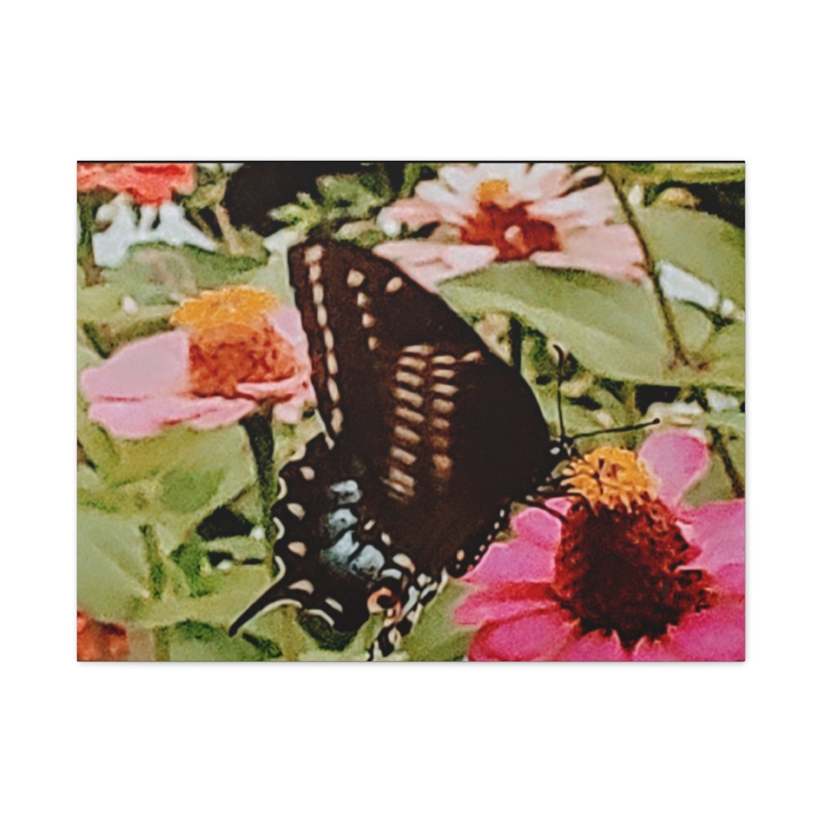 Butterfly Garden Canvas Print — Matte Stretched Wall Art
