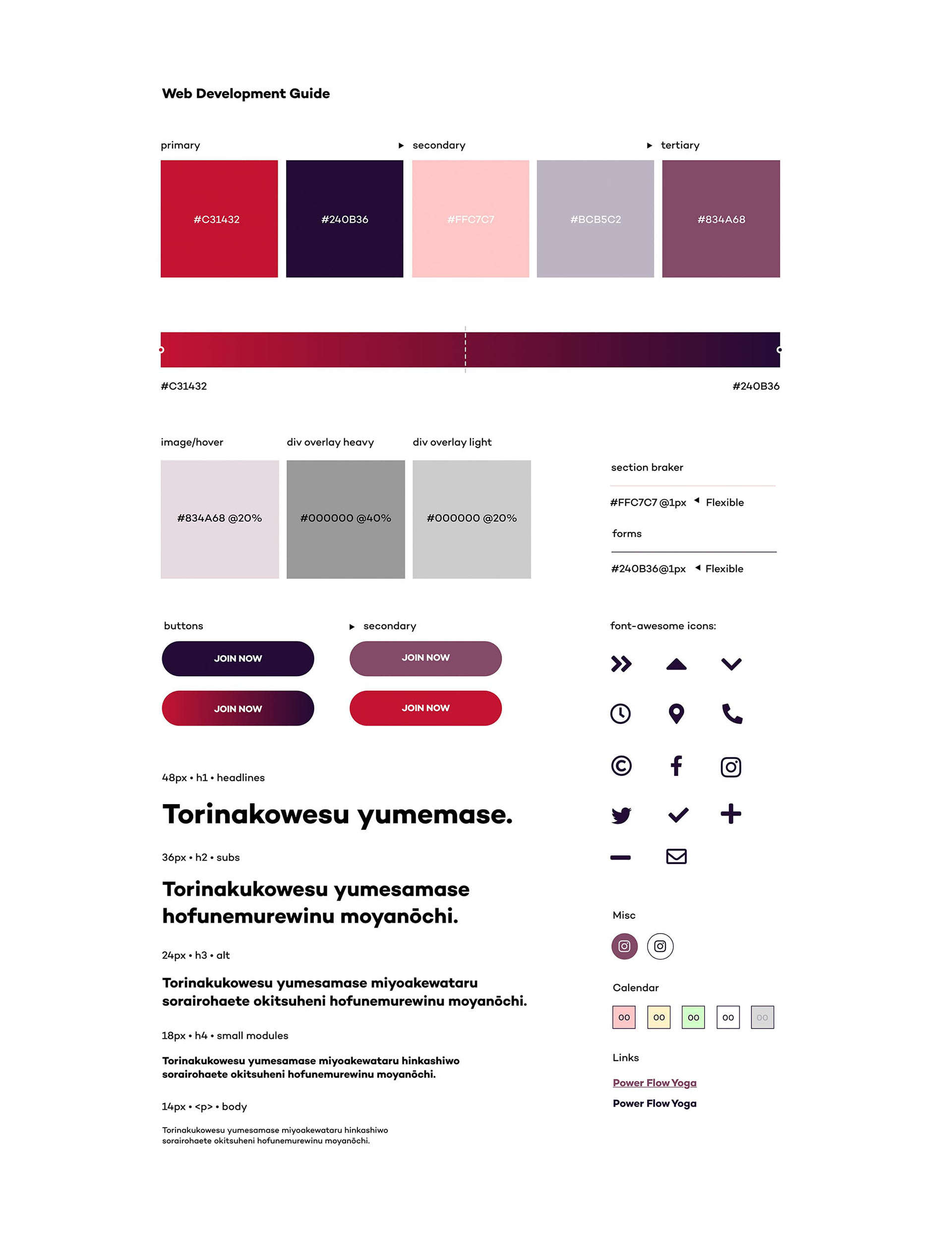 Burn Rate brand identity guide