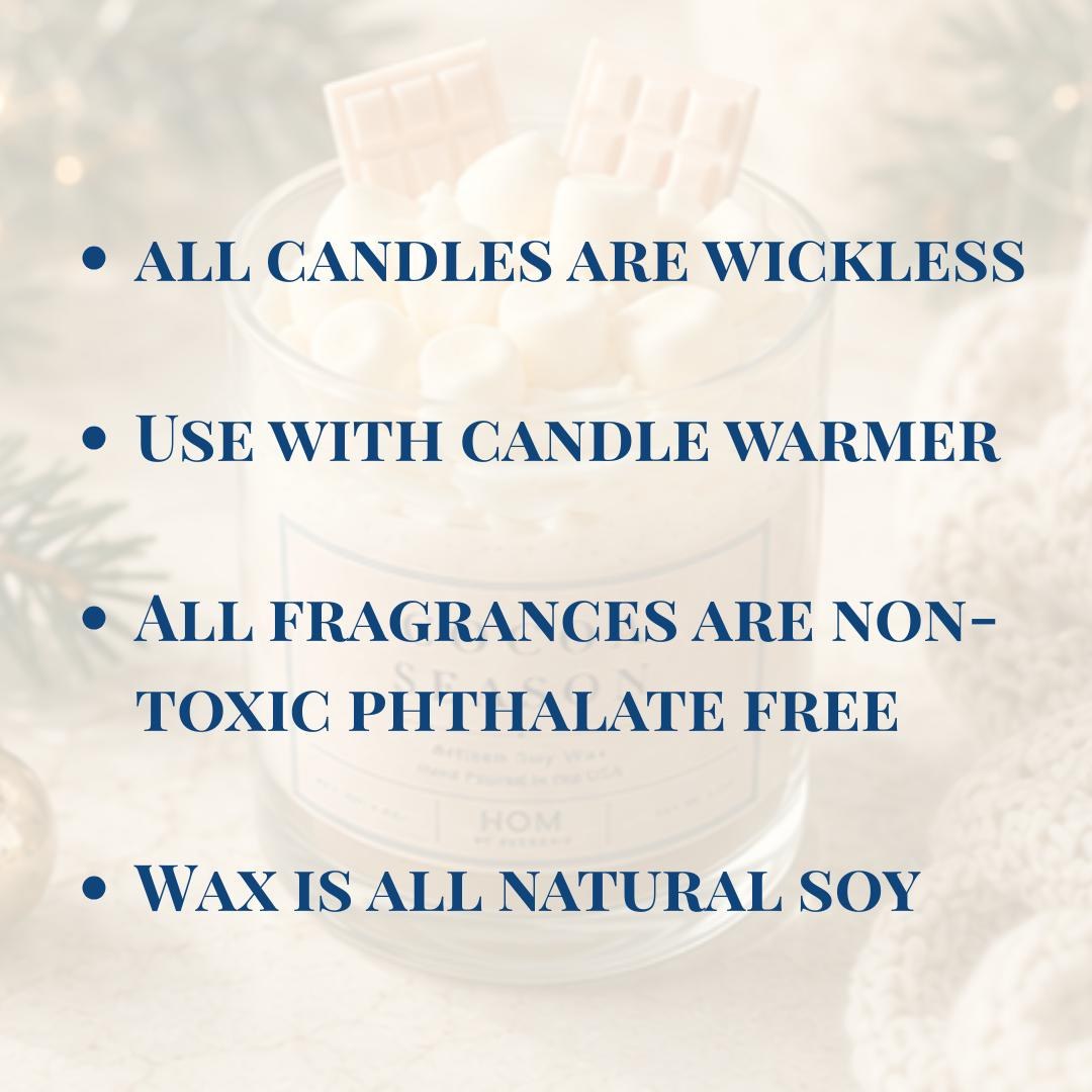 Soy Wickless Candle Warmer Jar Handmade Fall Scented Home Fragrance Candle Gift Idea Wife Holiday Gift Best Friend Winter Cozy Home Decor, product view 2
