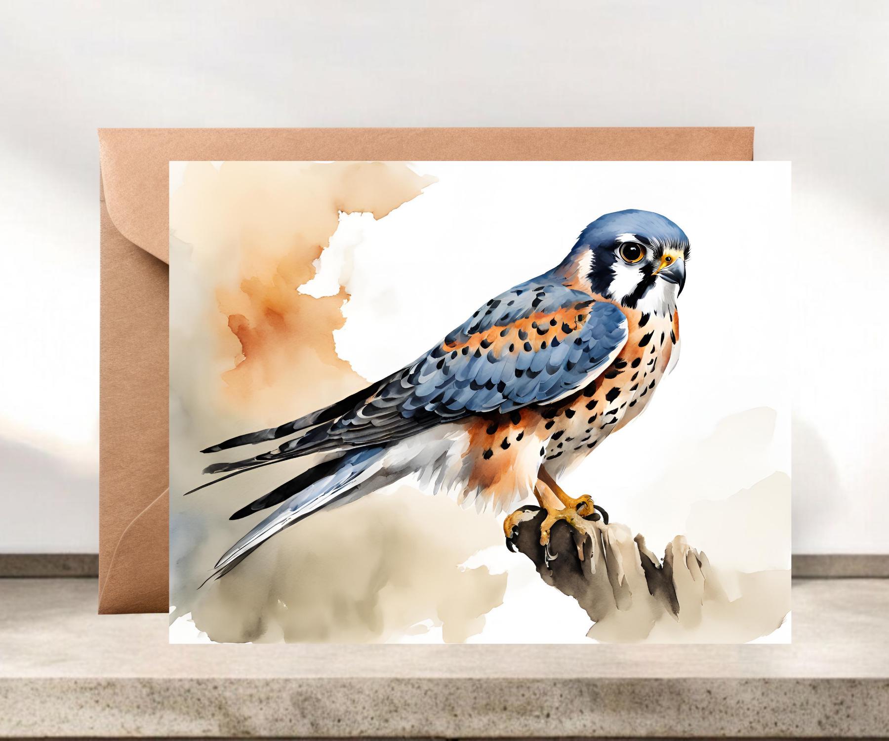 American Kestrel Notecards, Sparrow Hawk #055