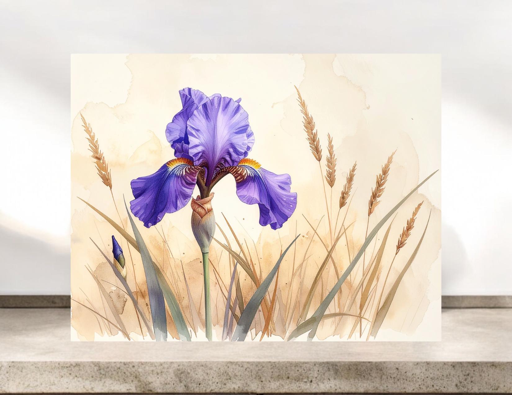 Purple Iris Flower Notecards #093