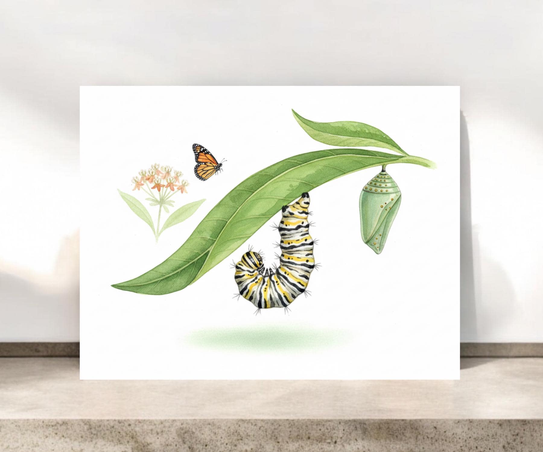 Monarch Caterpillar and Butterfly Notecard | Nature Greeting Card | Nature Notecards | #112