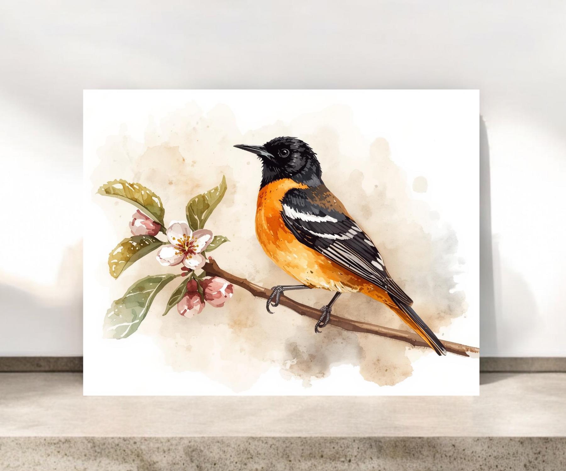 Baltimore Oriole Notecard | Birding Stationery #134