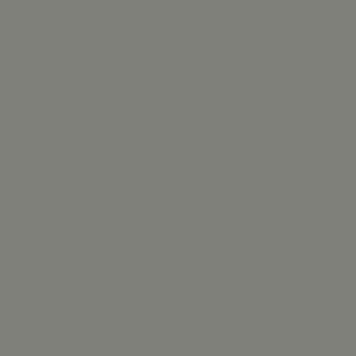 Ash | PE-410 | Art Gallery Fabrics | AGF PURE Solids, 100% Premium Quilting Cotton