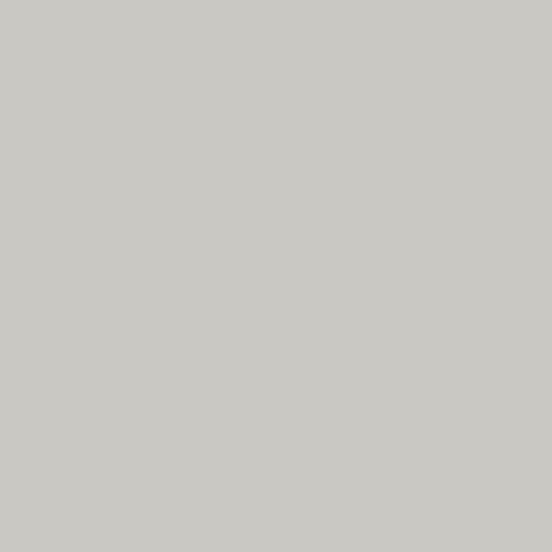 Mystic Grey | PE-431 | Art Gallery Fabrics | AGF PURE Solids, 100% Premium Quilting Cotton