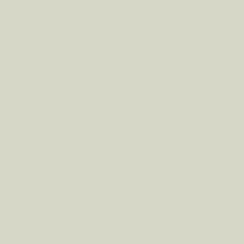 Light Grey | PE-419 | Art Gallery Fabrics | AGF PURE Solids, 100% Premium Quilting Cotton